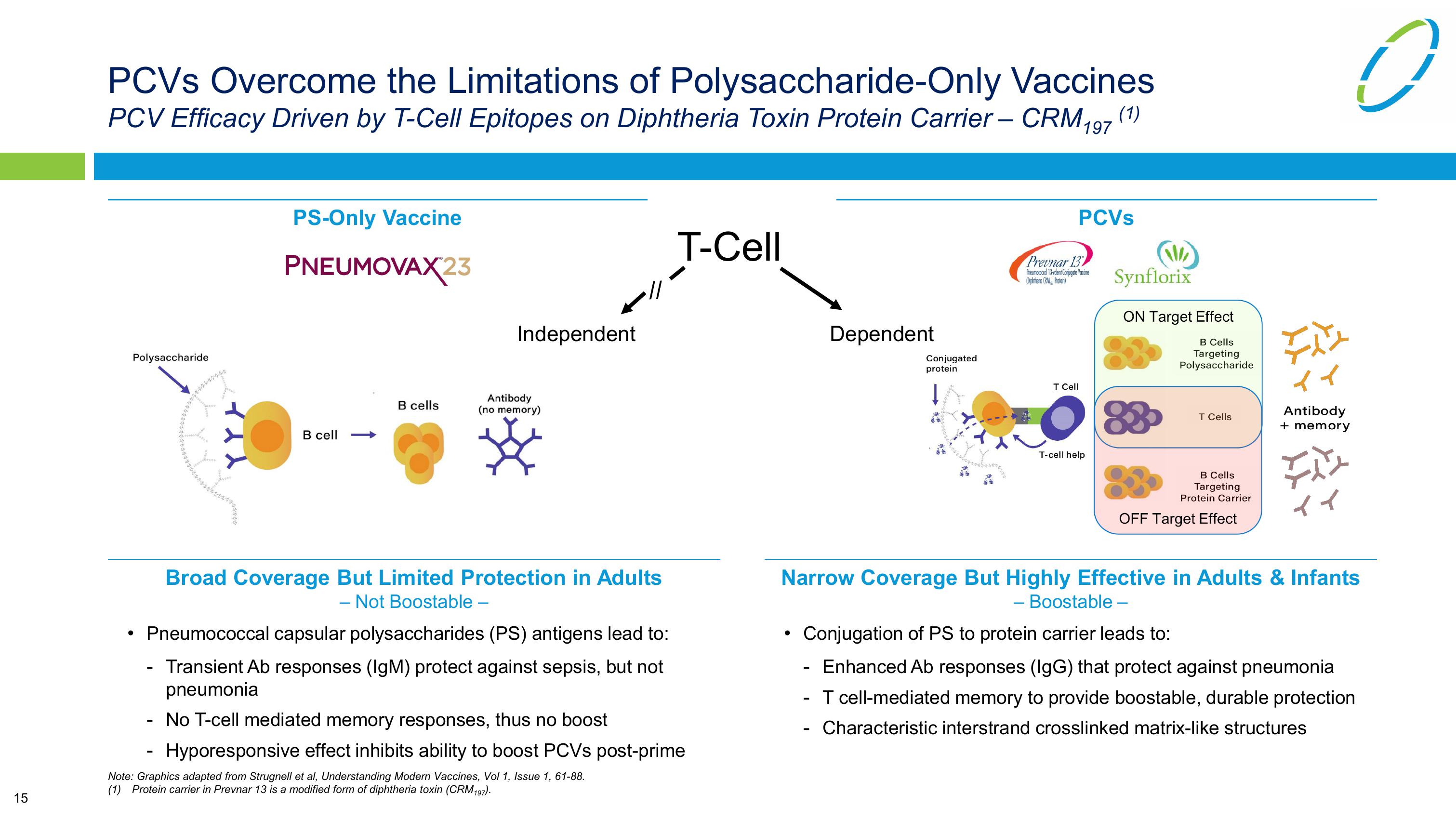 Vaxcyte Corporate Presentation slide image #15