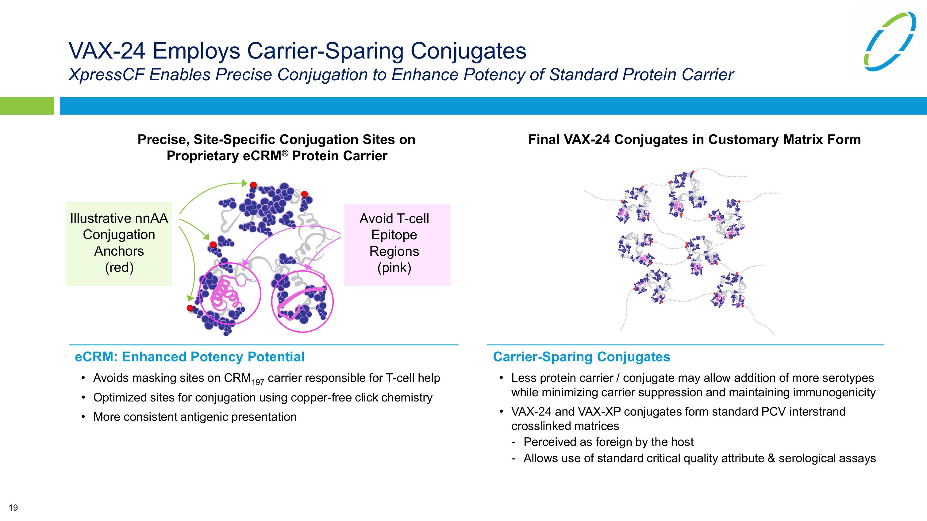 Vaxcyte Corporate Presentation slide image #19