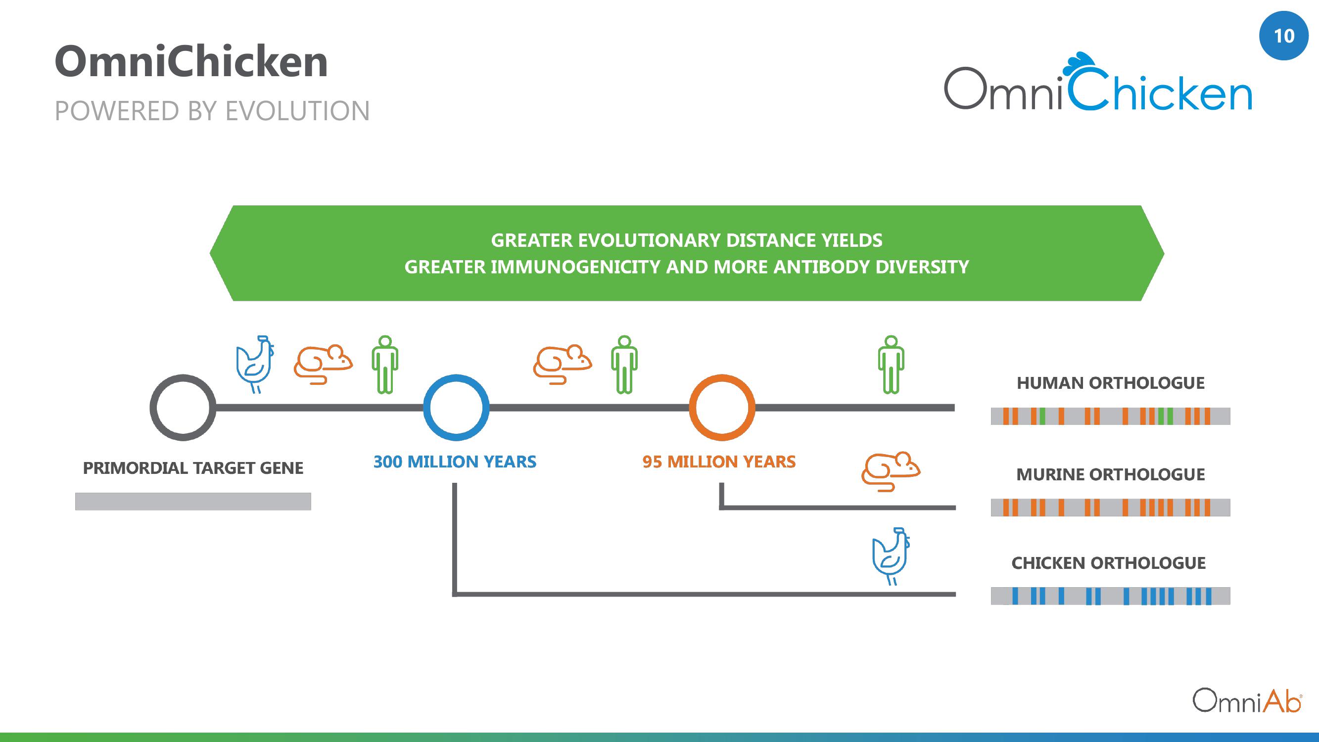 OmniAb Investor Conference Presentation Deck slide image #10