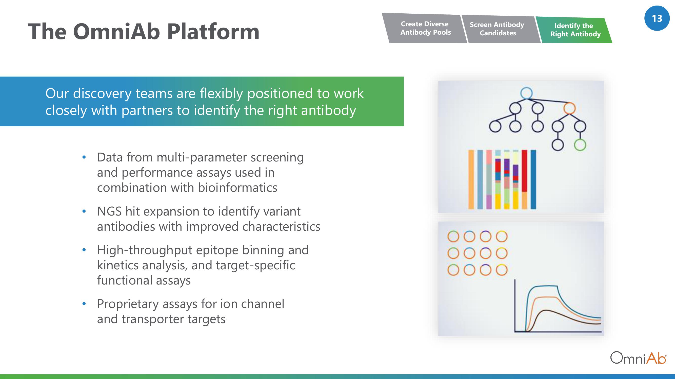 OmniAb Investor Conference Presentation Deck slide image #13