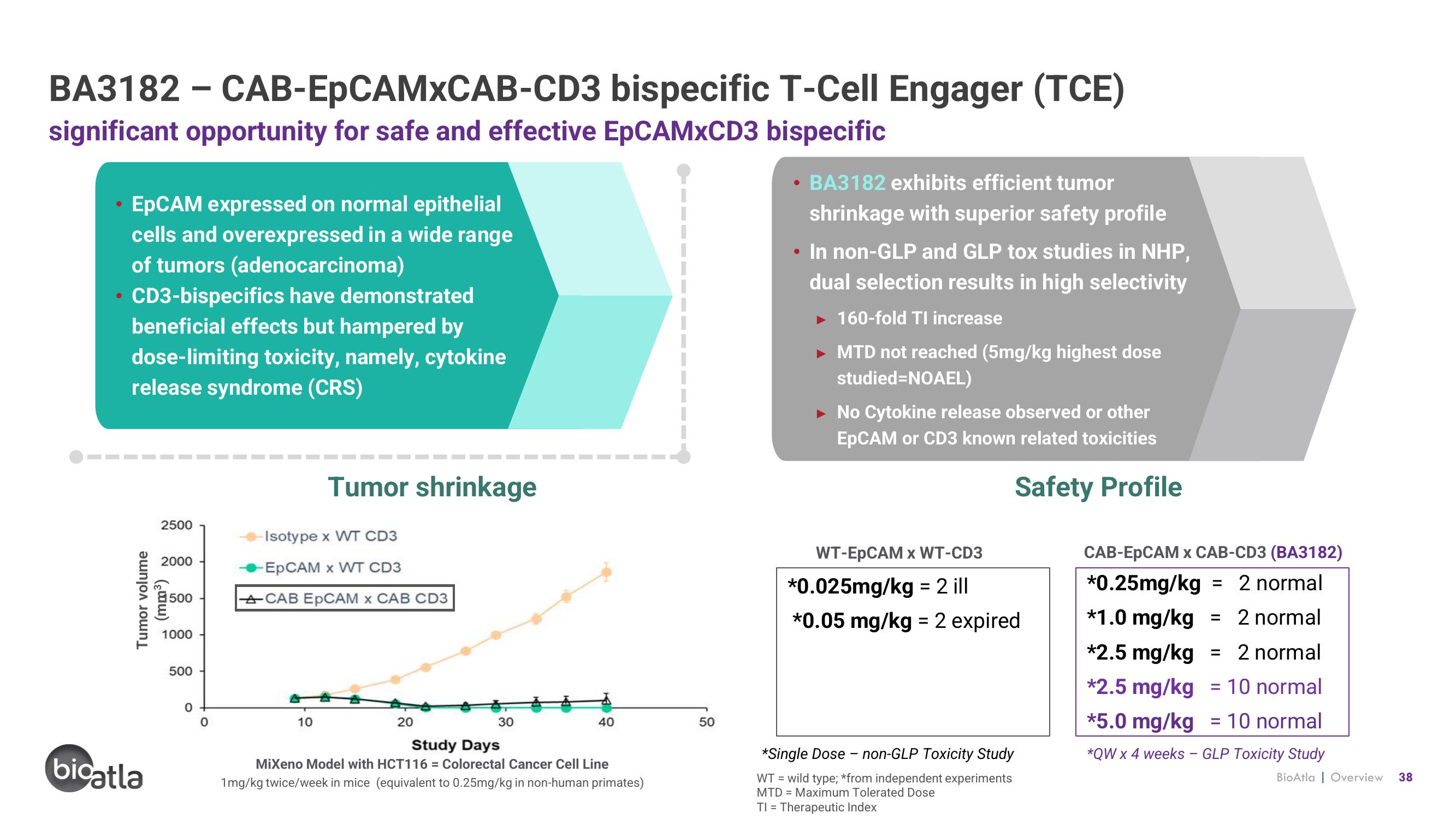 BioAtla Investor Presentation Deck slide image #38