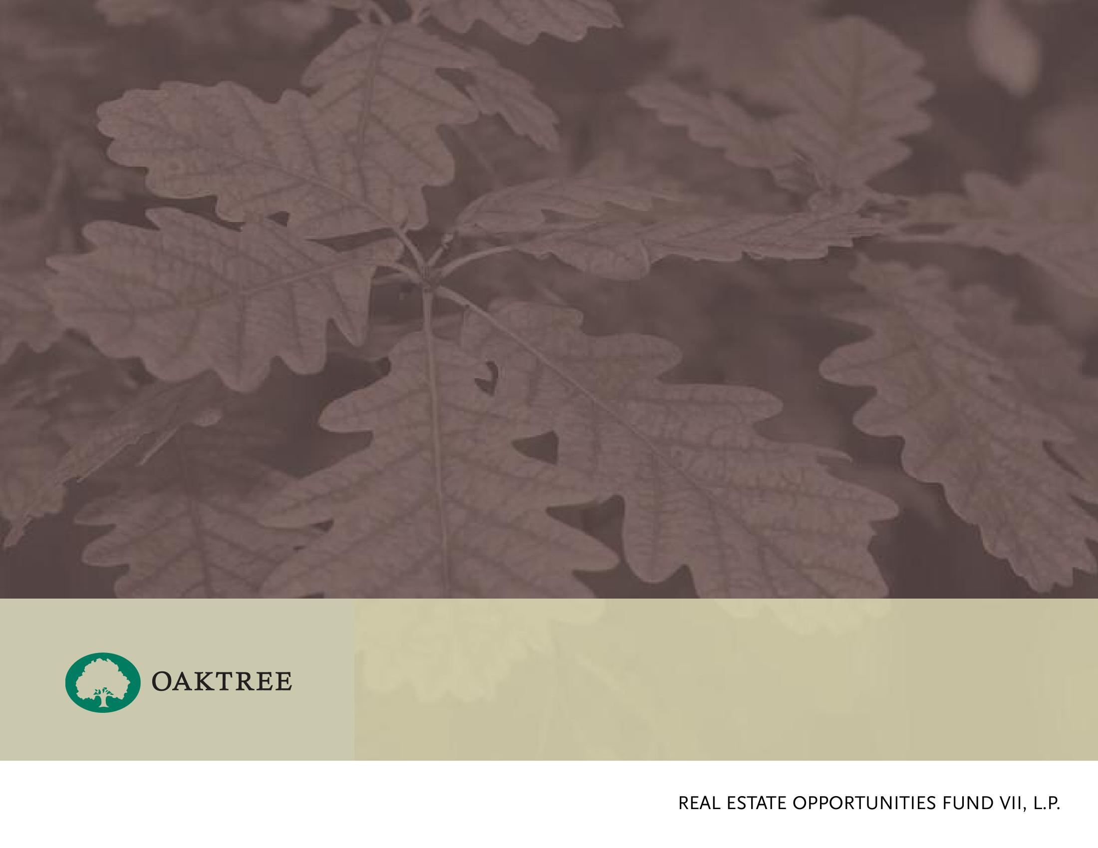 Oaktree Real Estate Opportunities Fund VII, L.P. image