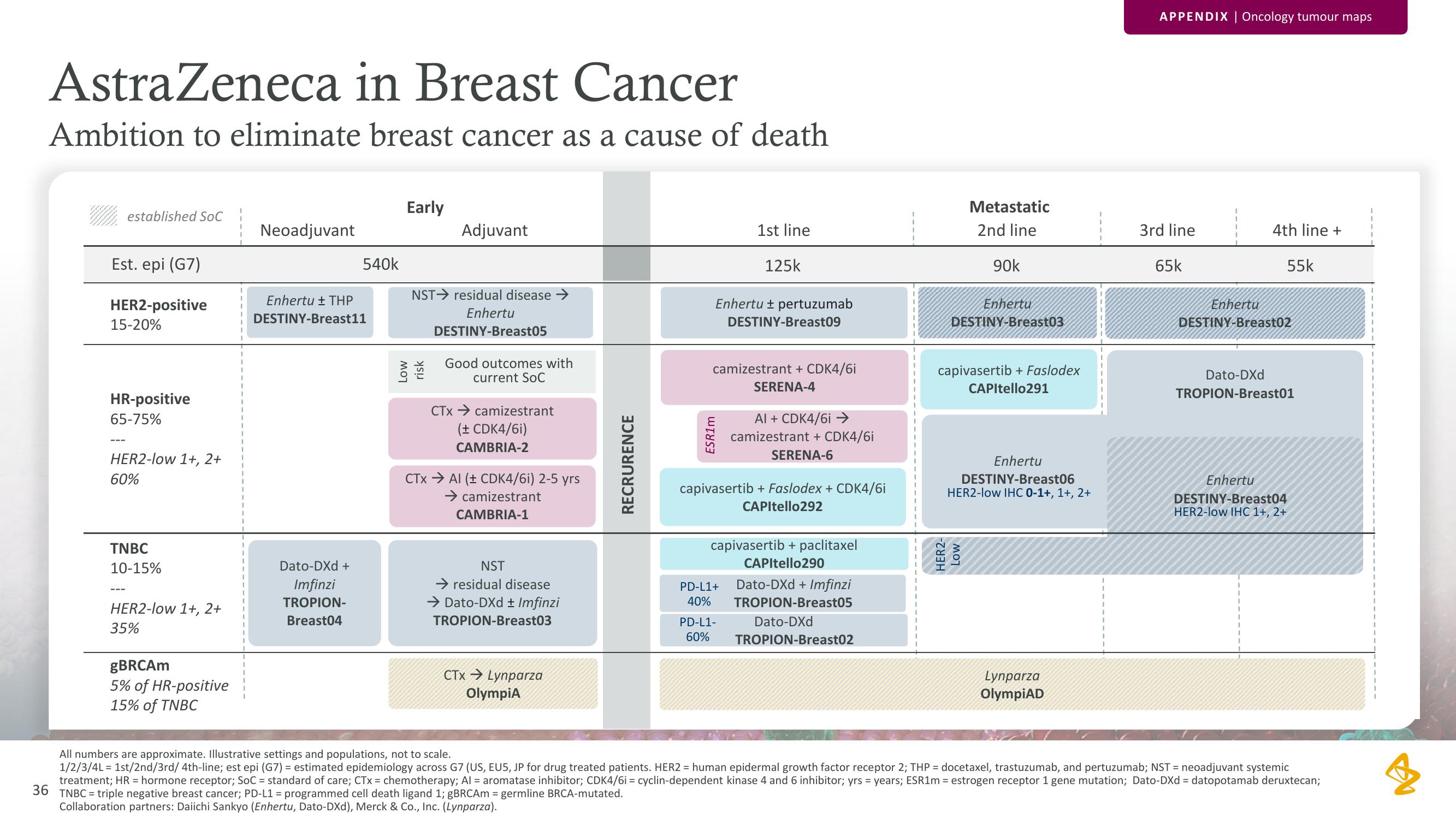 AstraZeneca Results Presentation Deck slide image #36