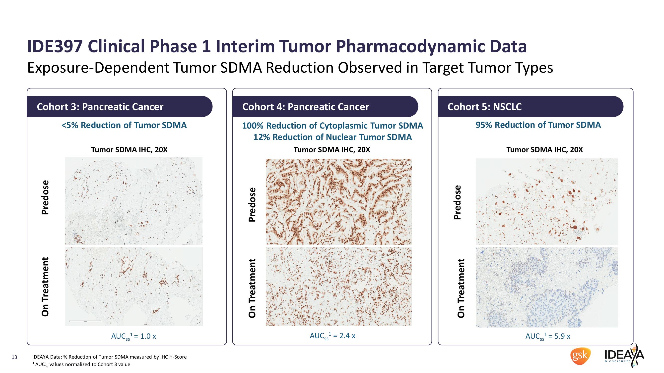 IDEAYA Biosciences Interim IDE397 Phase 1 Clinical Data and Q1 2022 Corporate Update slide image #13