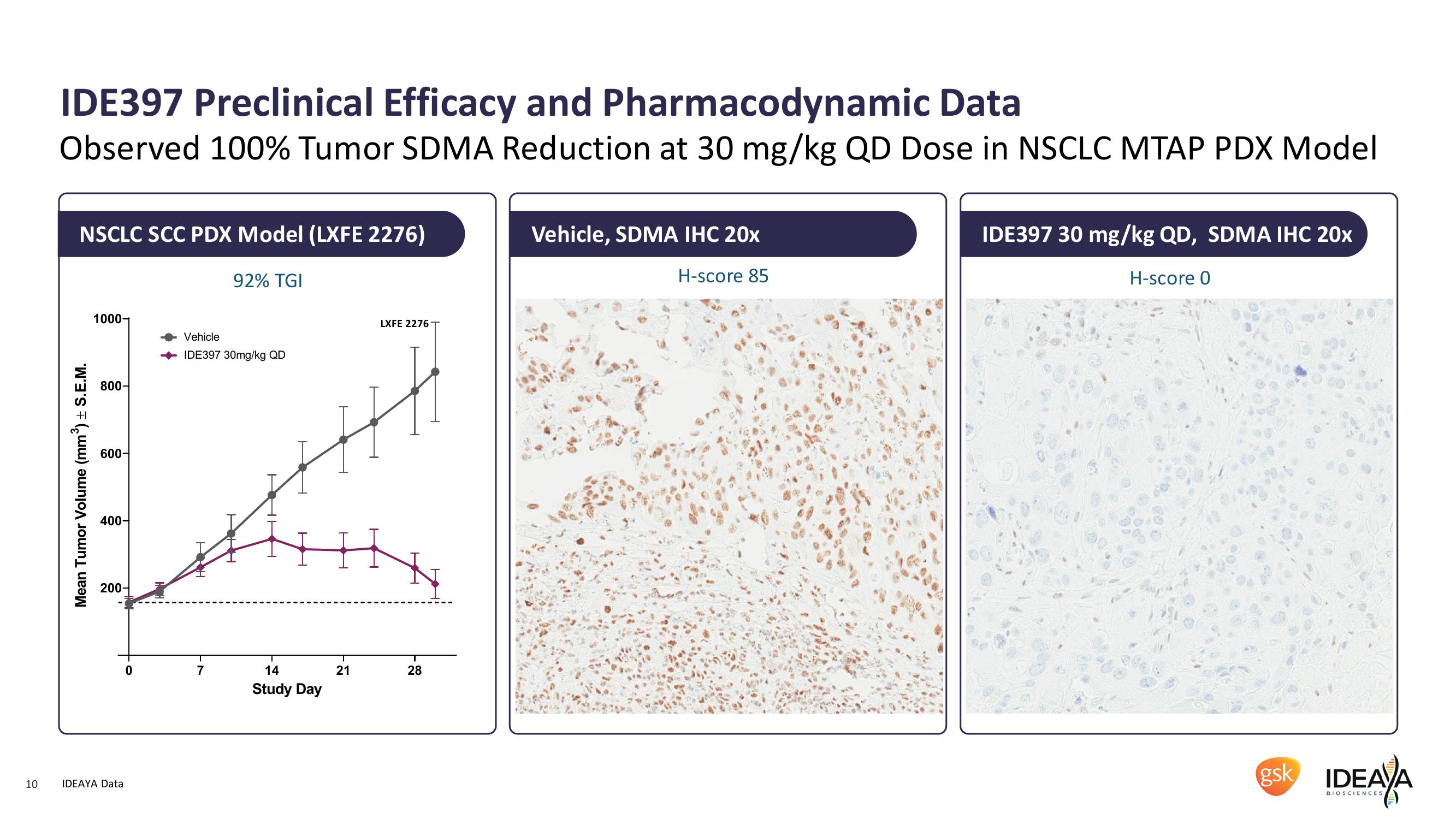 IDEAYA Biosciences Interim IDE397 Phase 1 Clinical Data and Q1 2022 Corporate Update slide image #10