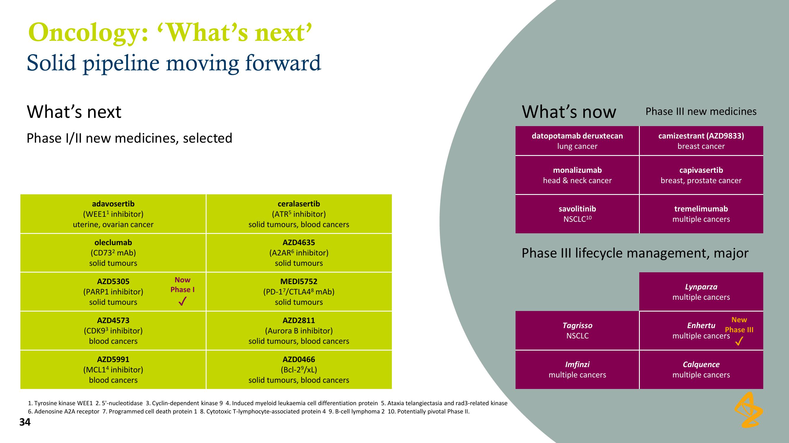 AstraZeneca Results Presentation Deck slide image #34