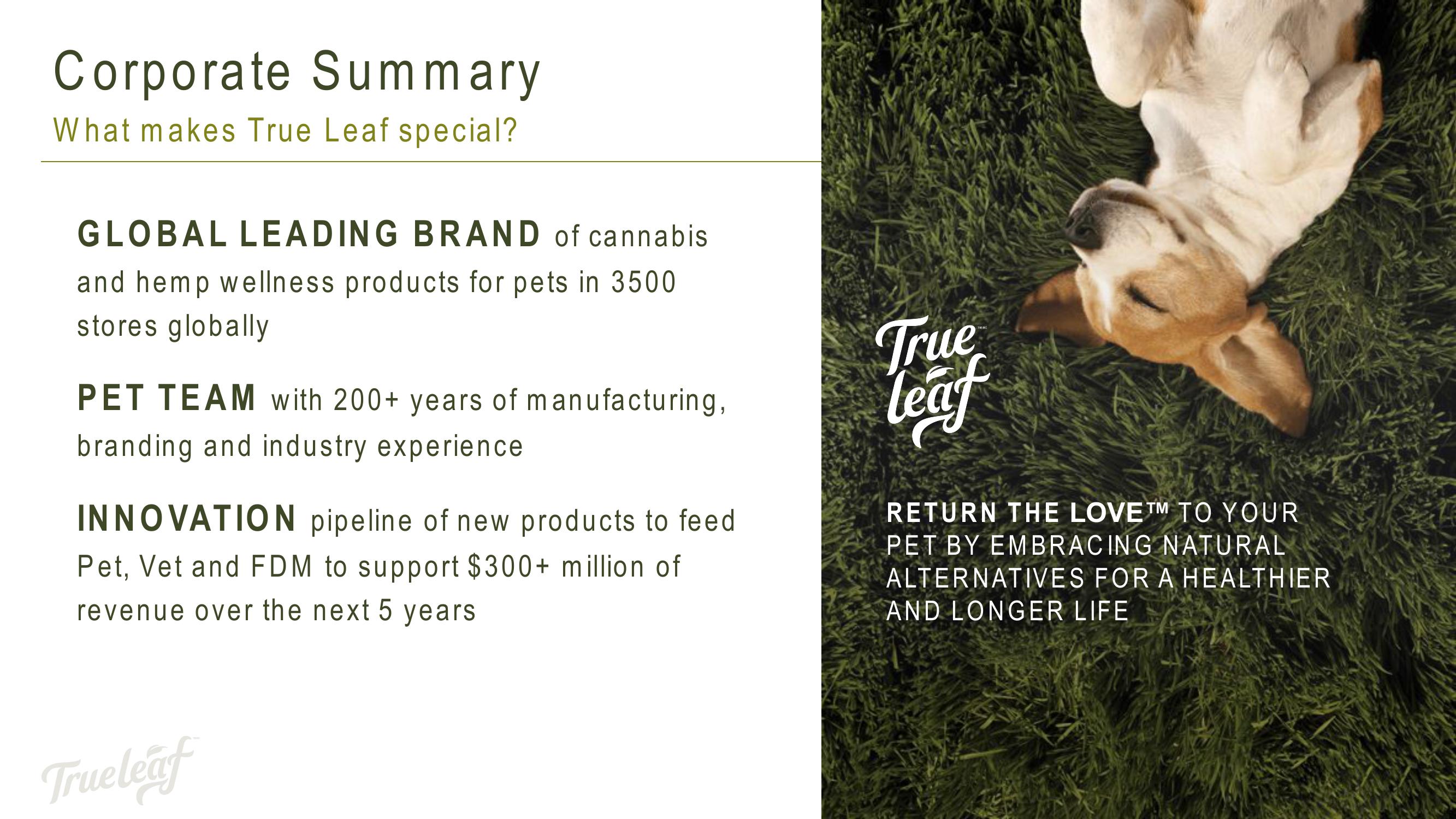 Cannabis and Hemp for Pets slide image #17