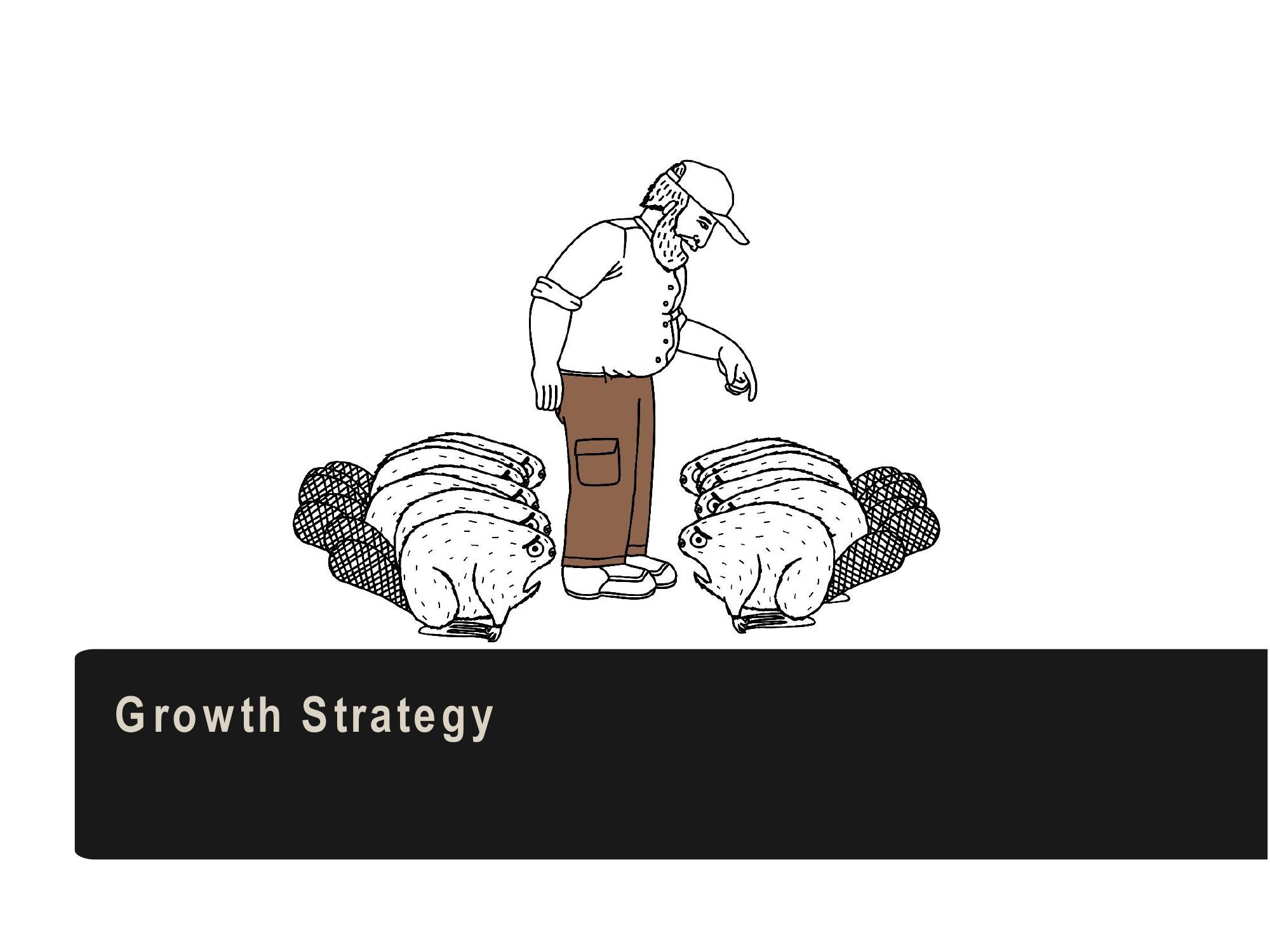 15% Growth & Efficiency Strategy slide image #8