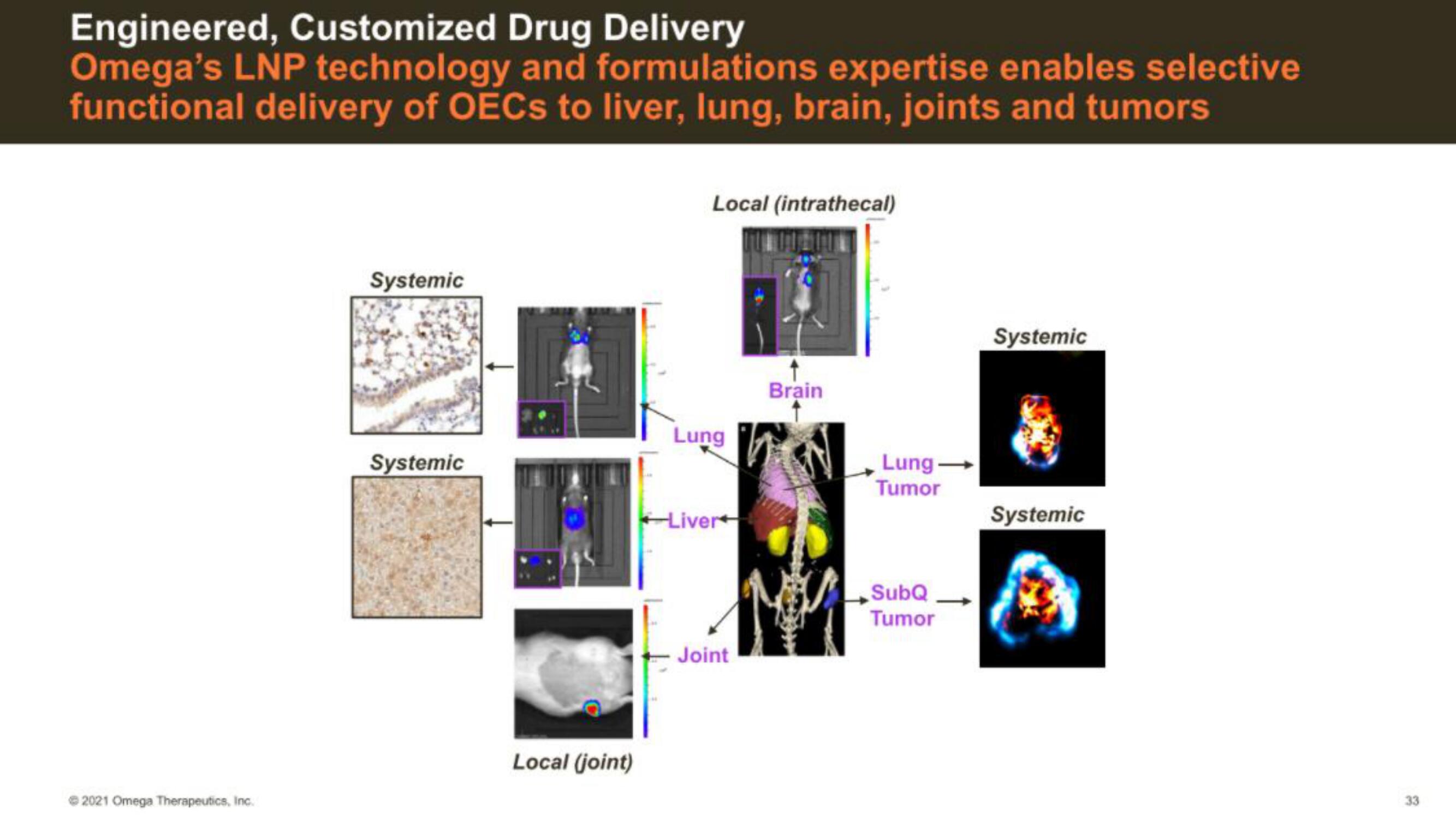 Omega Therapeutics IPO Presentation Deck slide image #33