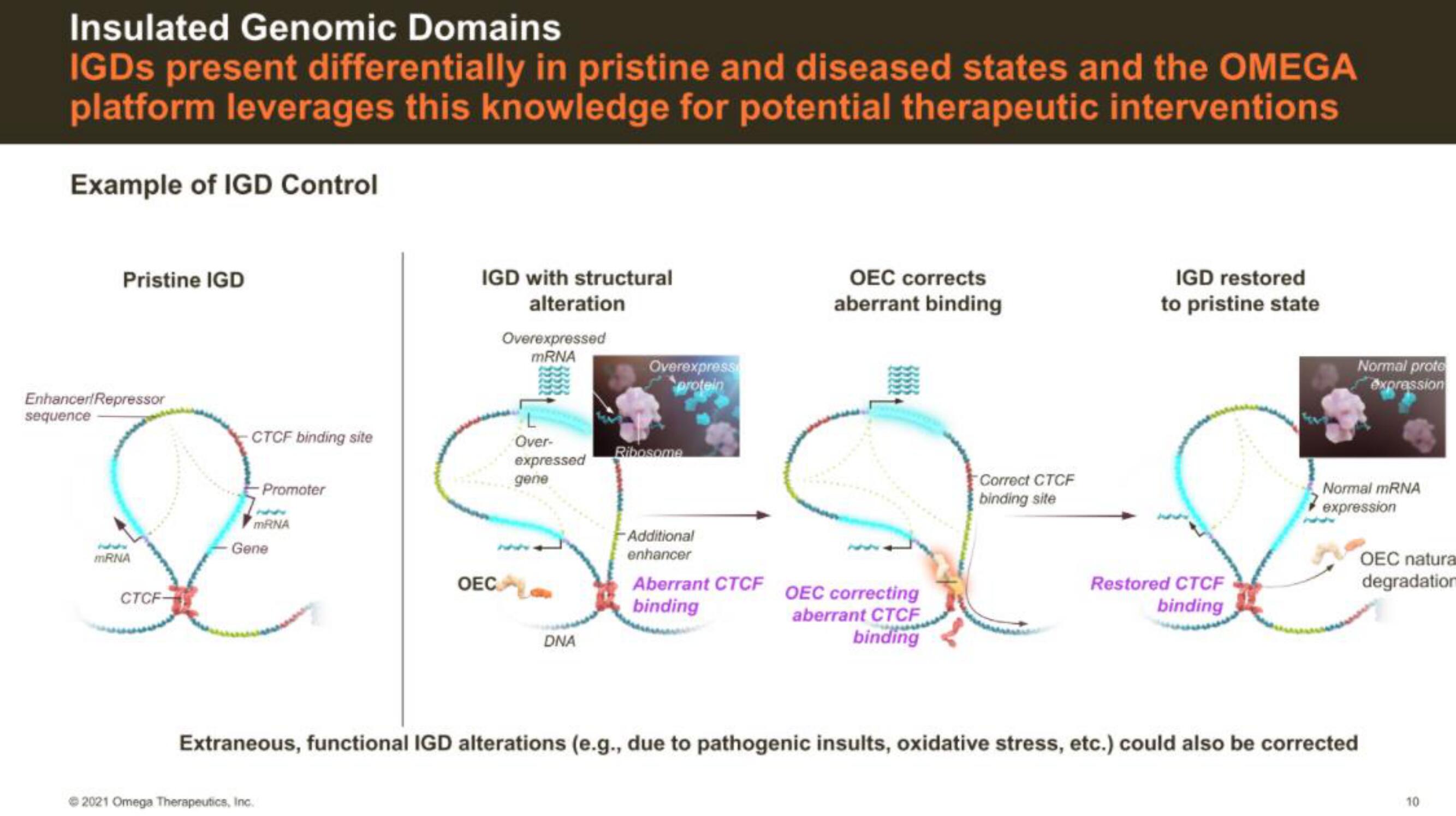 Omega Therapeutics IPO Presentation Deck slide image #10