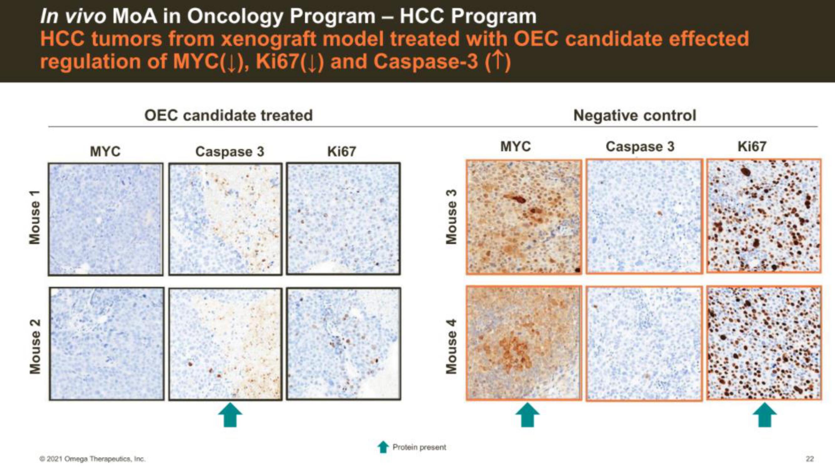 Omega Therapeutics IPO Presentation Deck slide image #22