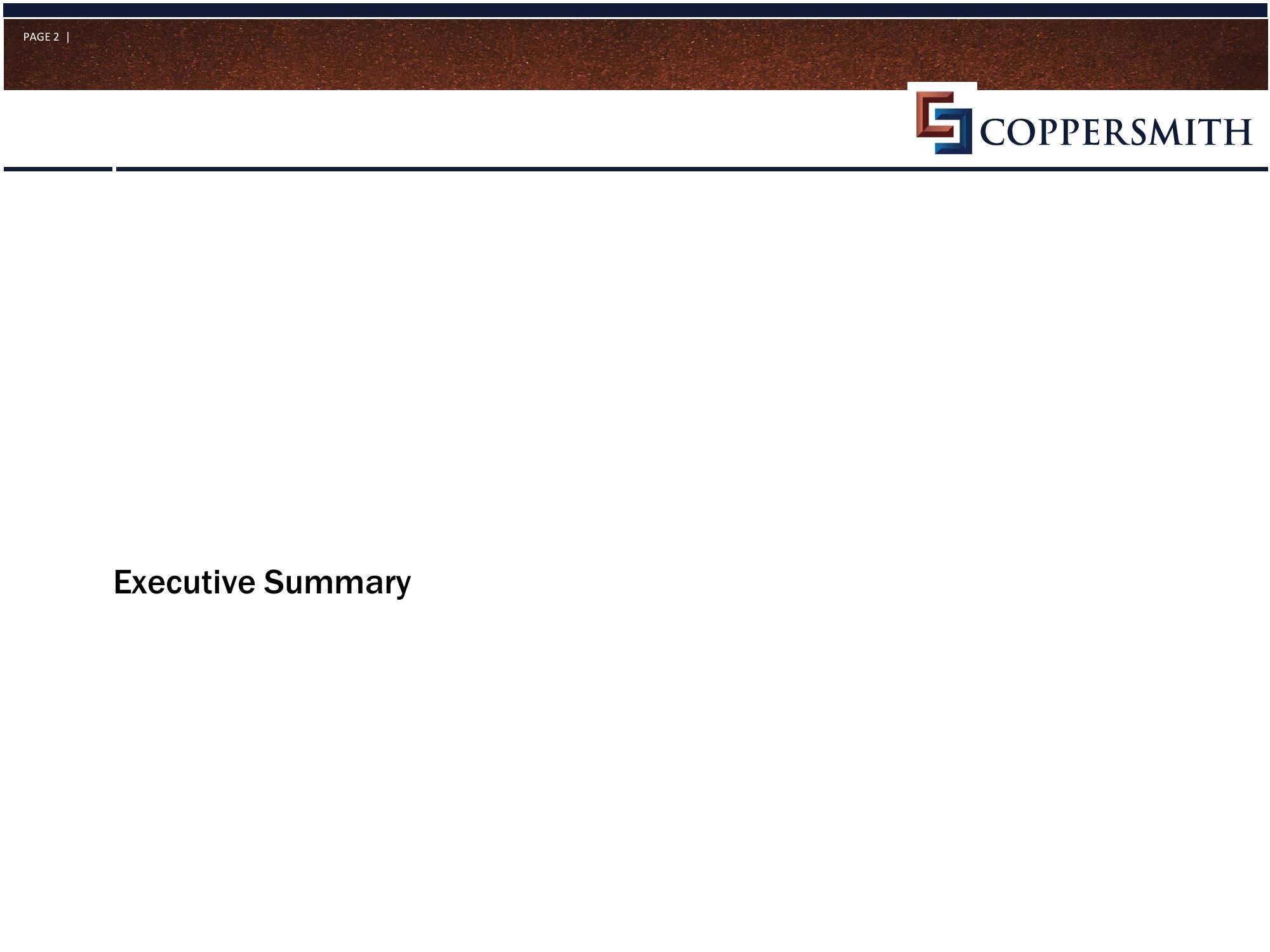 Coppersmith Presentation to Alere Inc Stockholders slide image #3