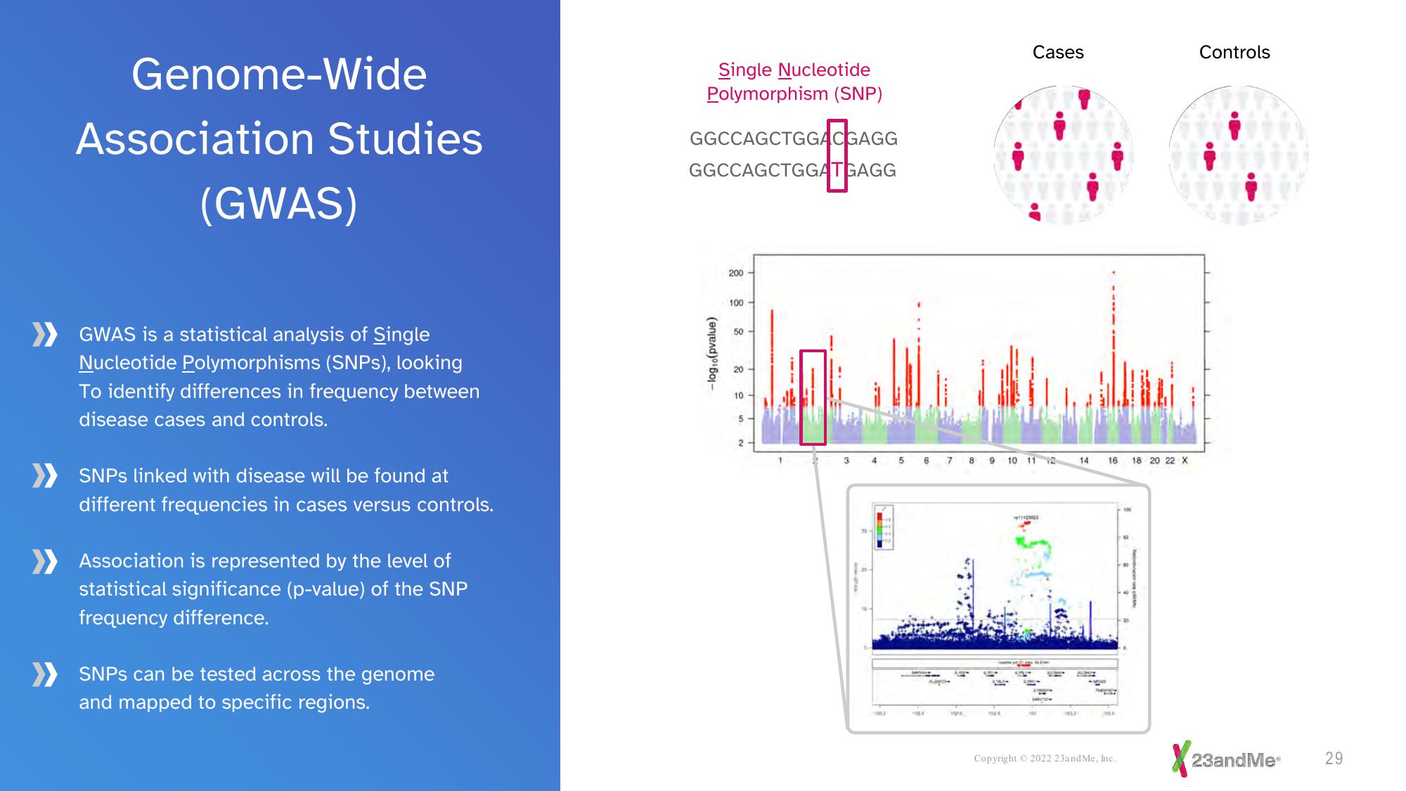 23andMe Investor Presentation Deck slide image #29