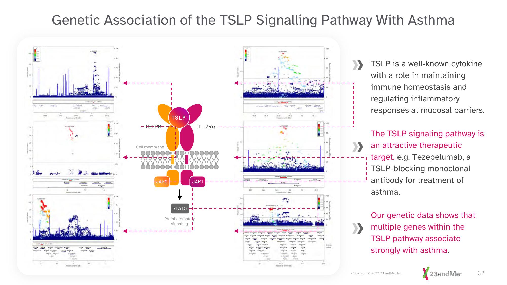 23andMe Investor Presentation Deck slide image #32