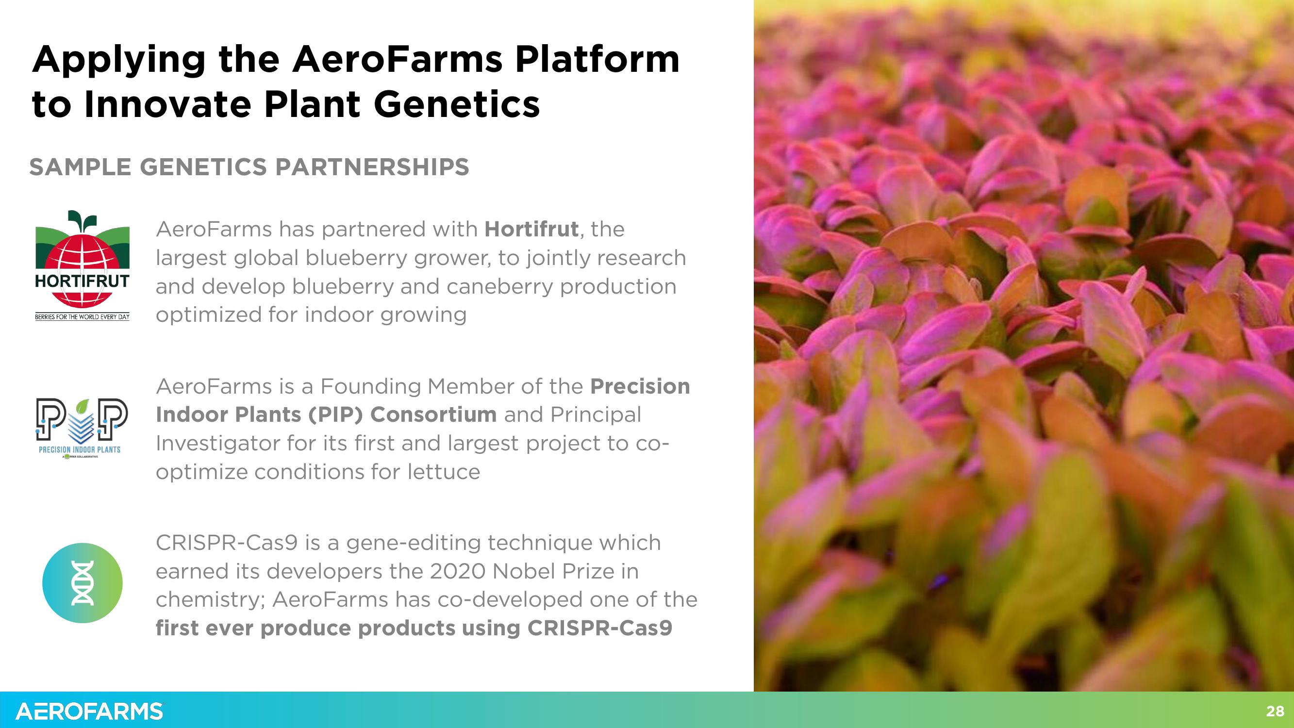 AeroFarms SPAC Presentation Deck slide image #28