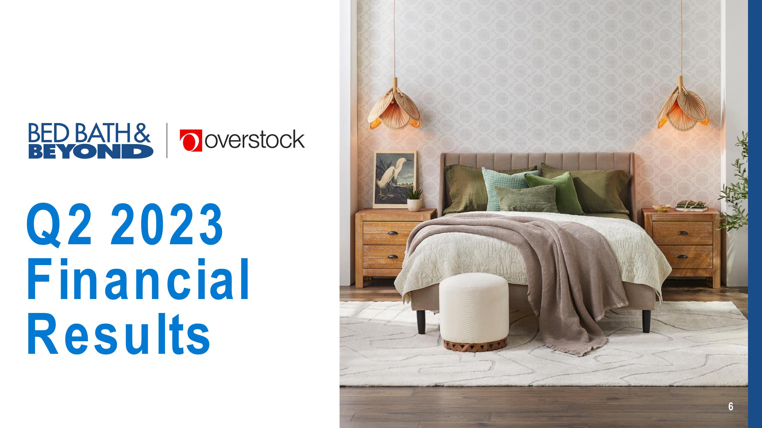 Overstock Results Presentation Deck slide image #6