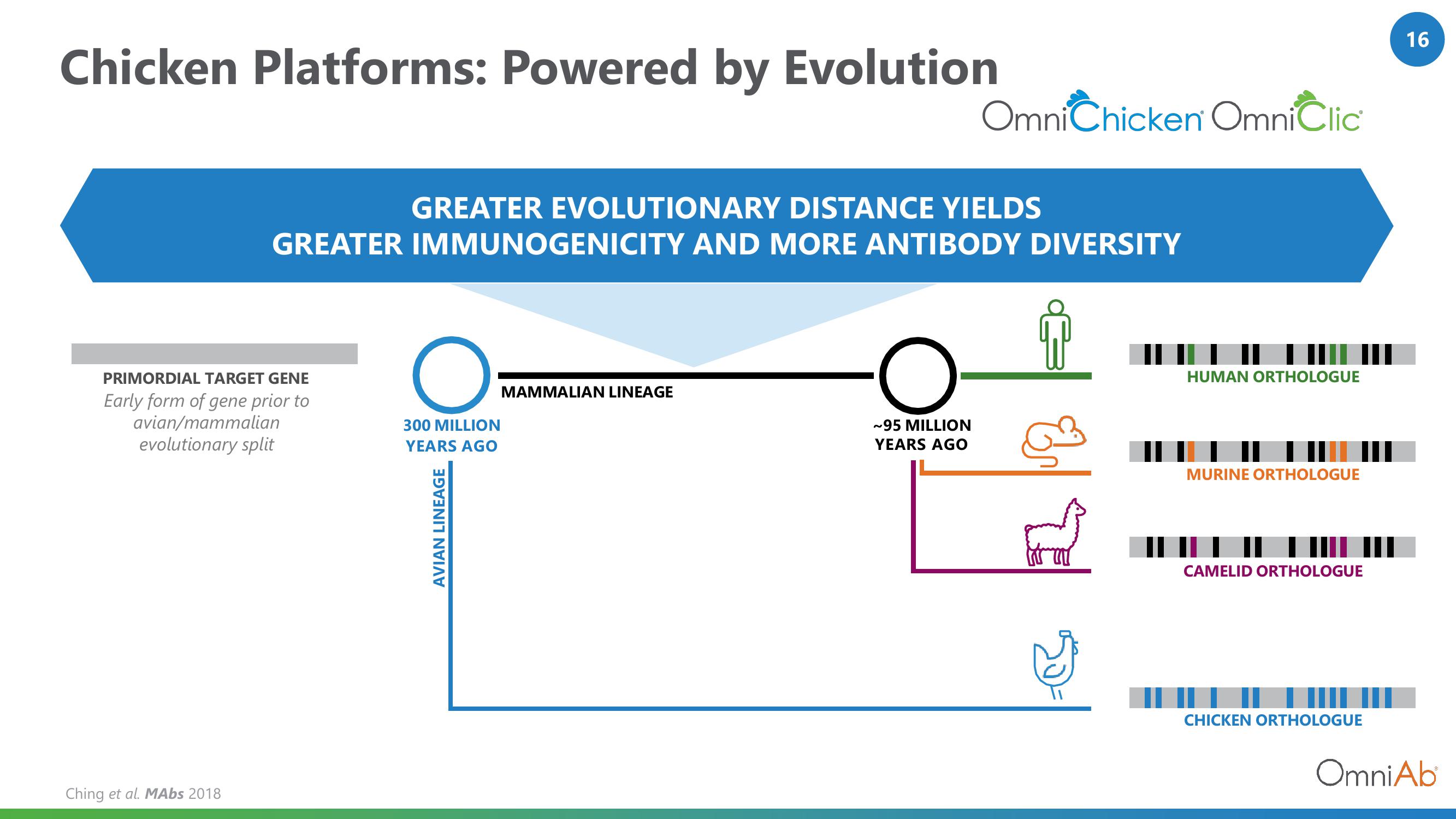 OmniAb Investor Presentation Deck slide image #16