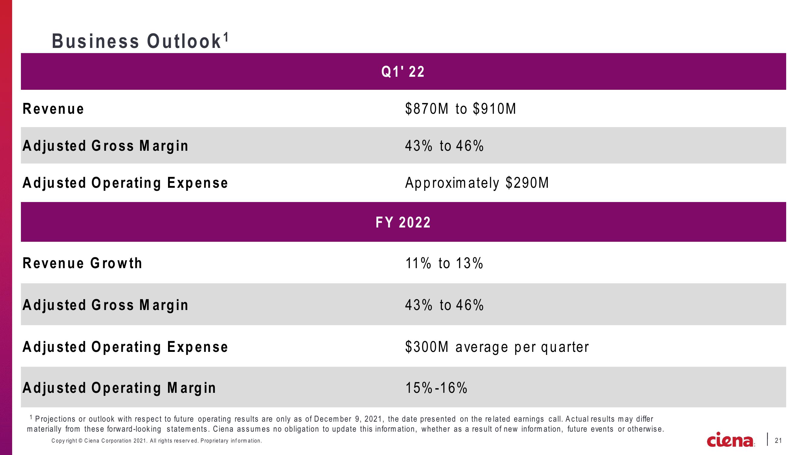 Ciena Corporation Earnings Presentation slide image #21