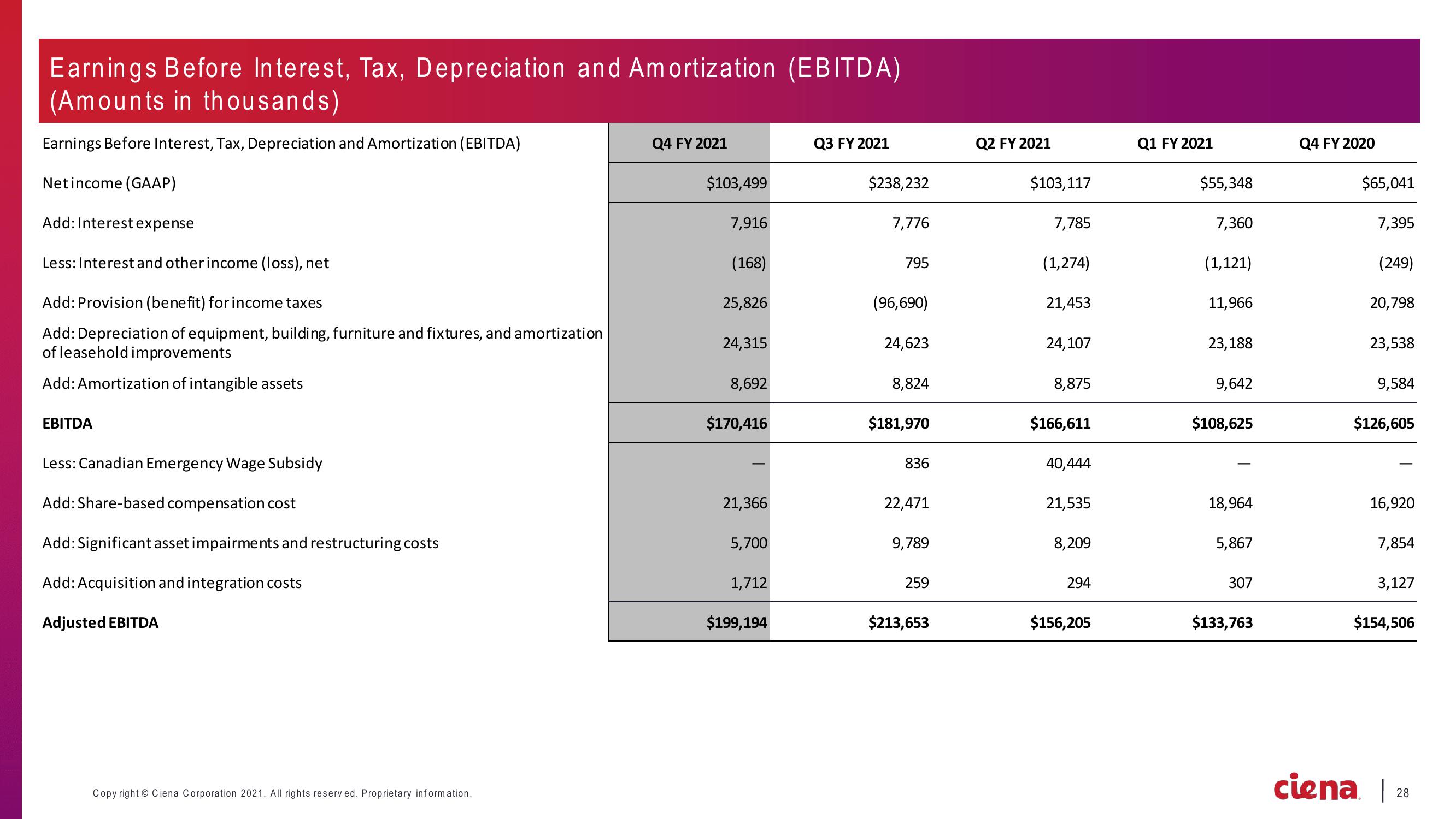 Ciena Corporation Earnings Presentation slide image #28