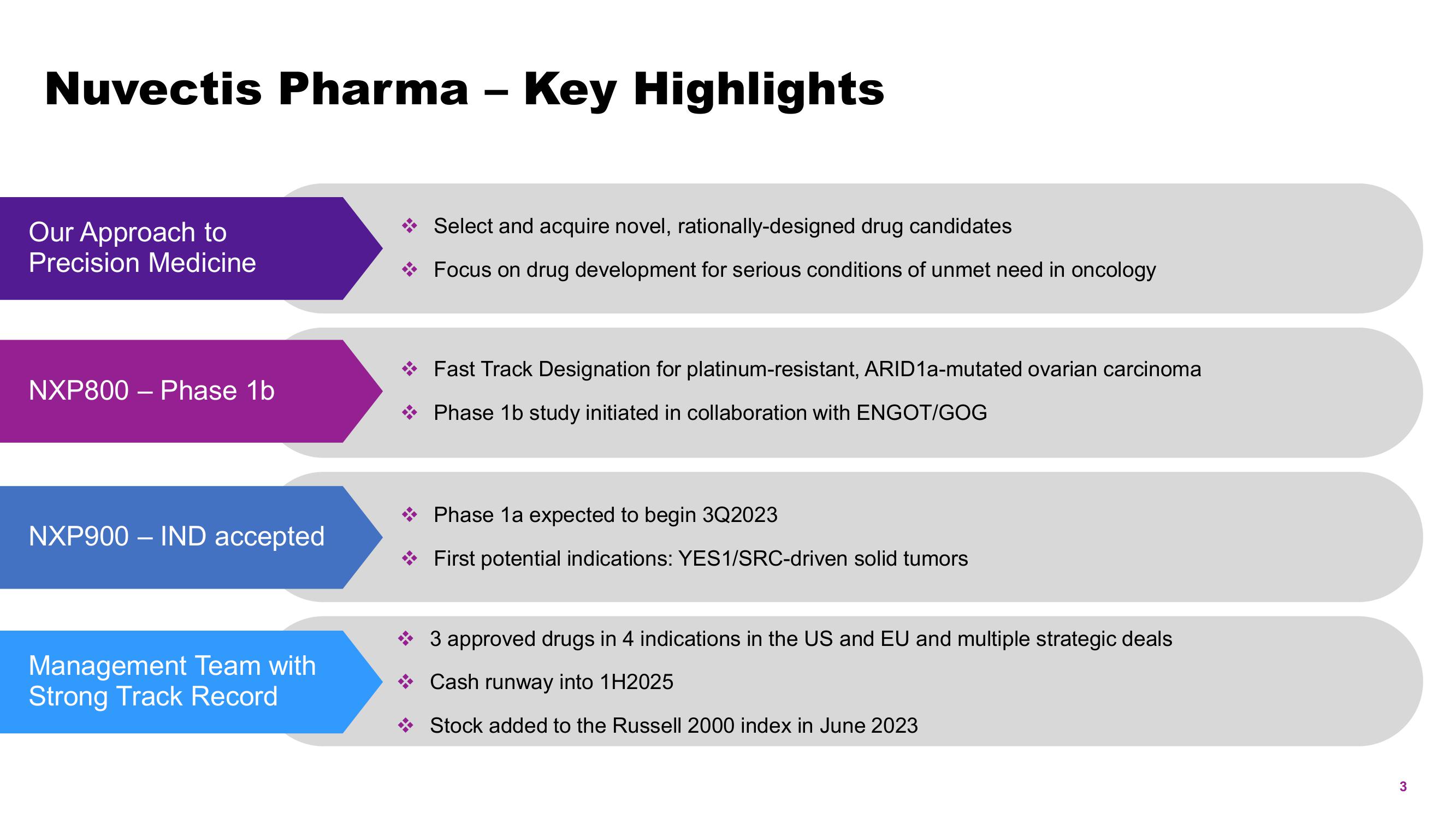Nuvectis Pharma Investor Presentation Deck slide image #3