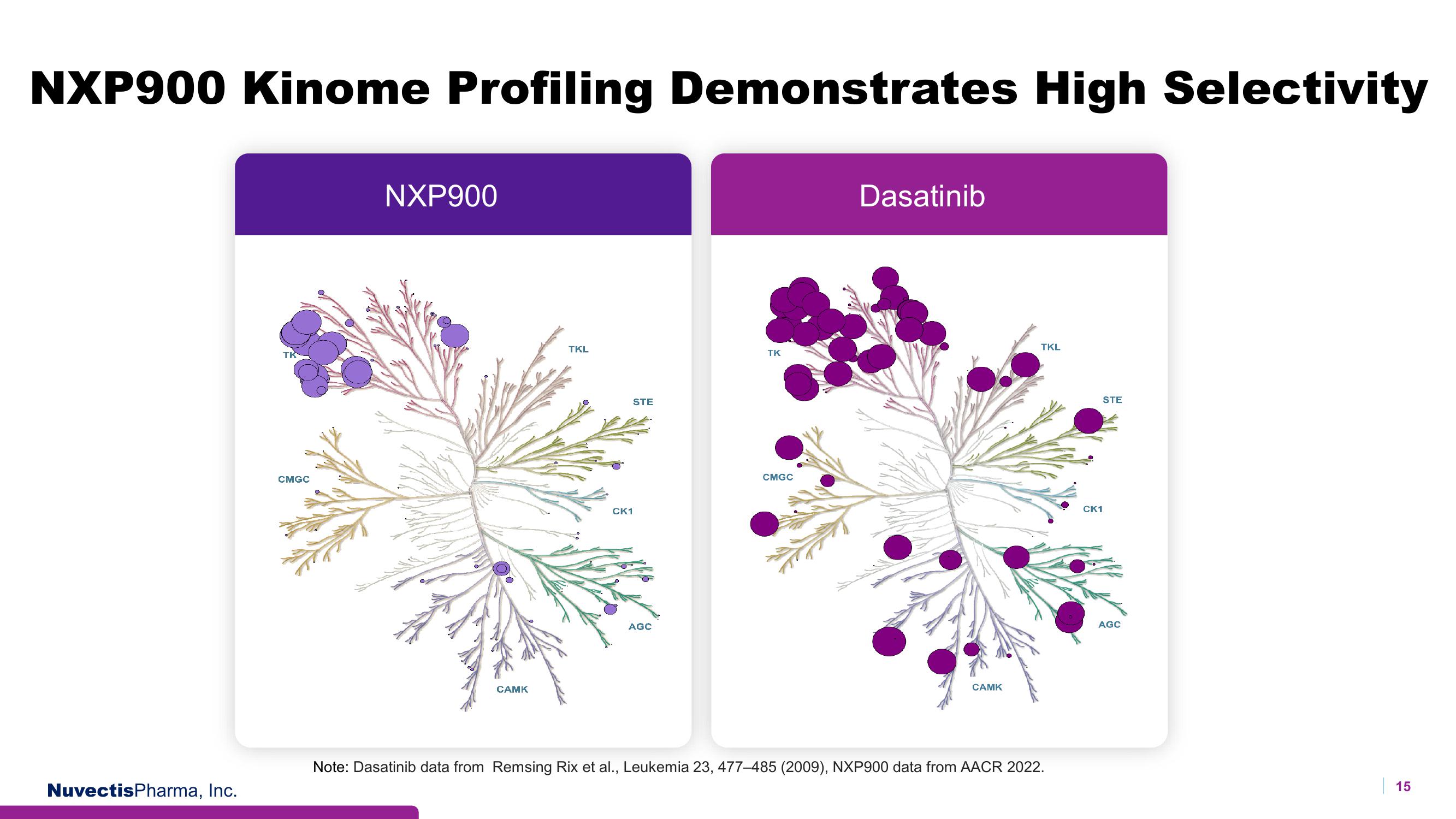 Nuvectis Pharma Investor Presentation Deck slide image #15