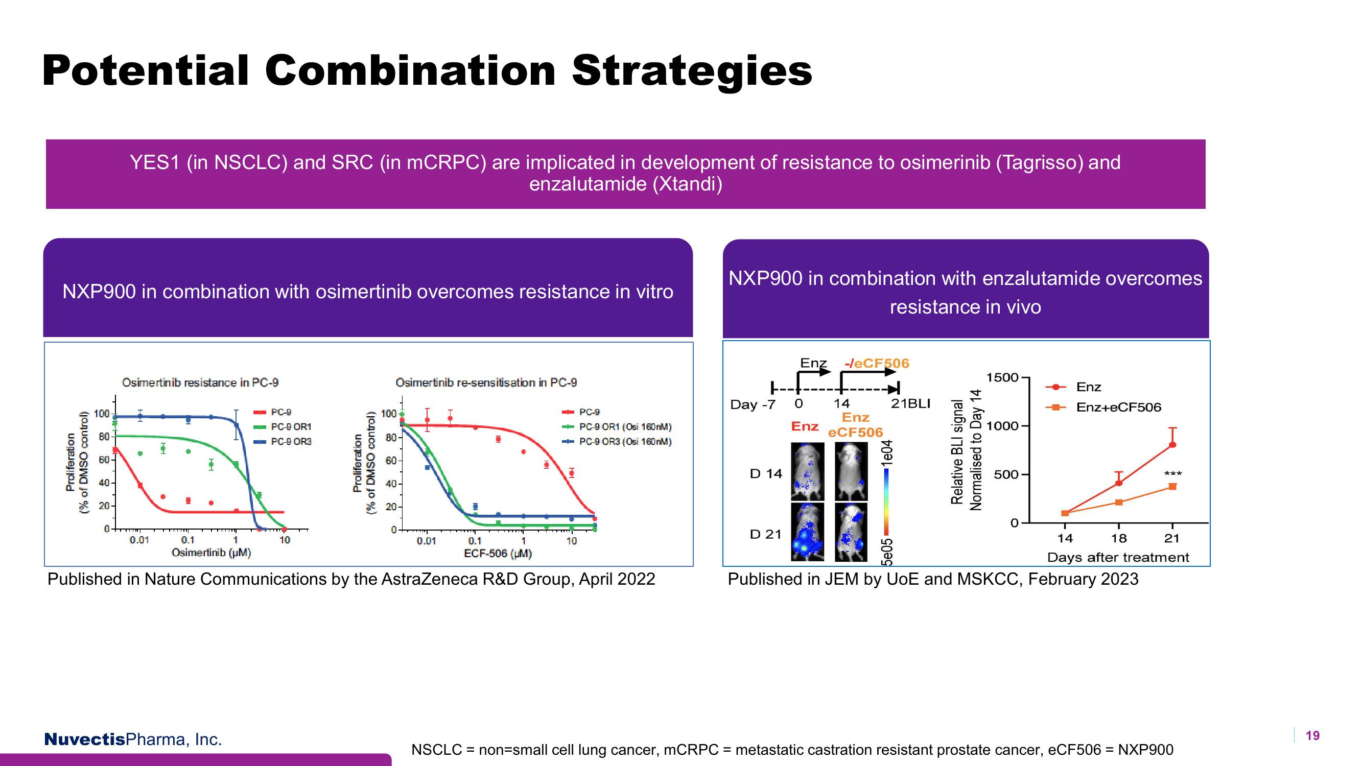 Nuvectis Pharma Investor Presentation Deck slide image #19