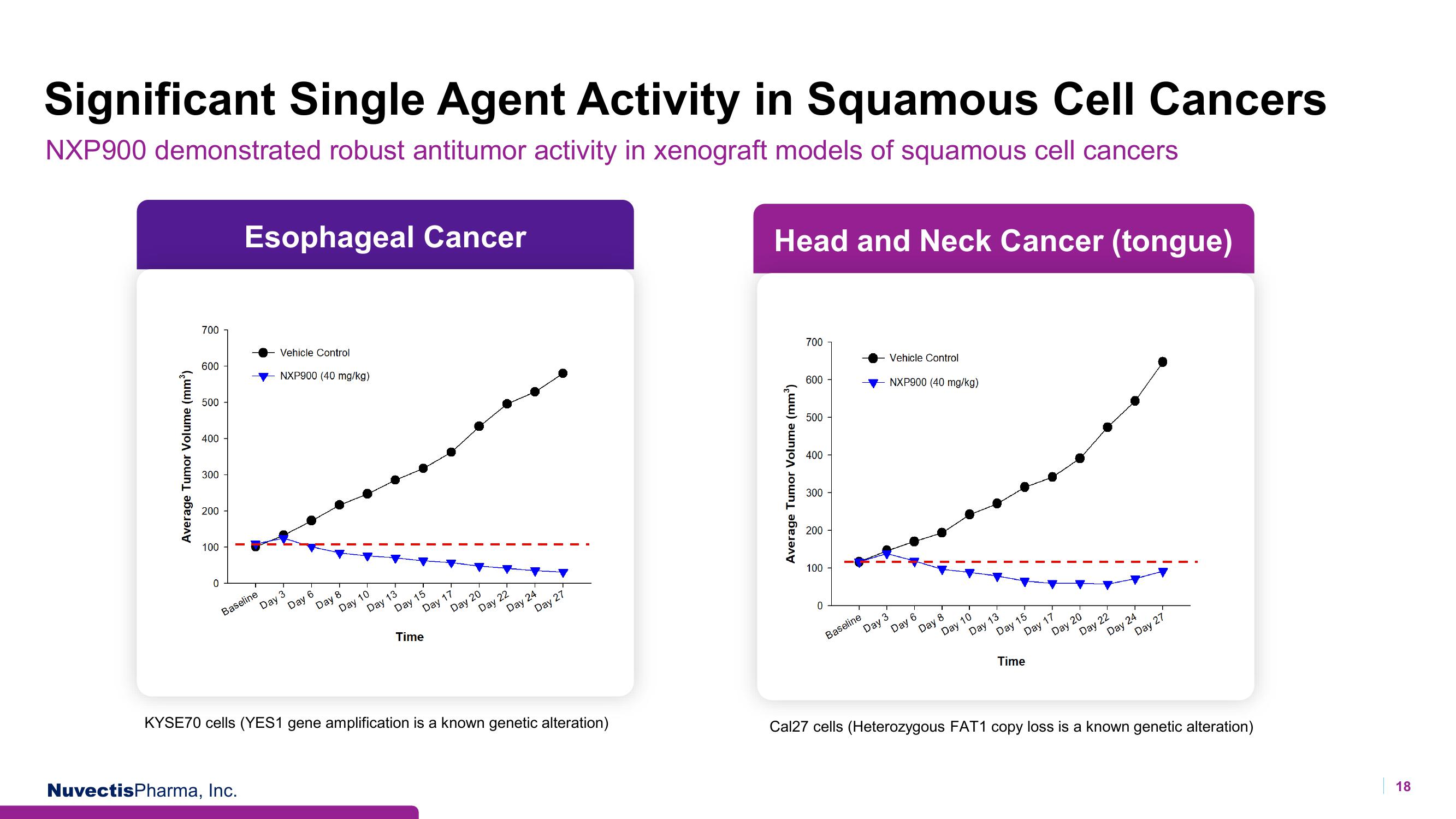 Nuvectis Pharma Investor Presentation Deck slide image #18