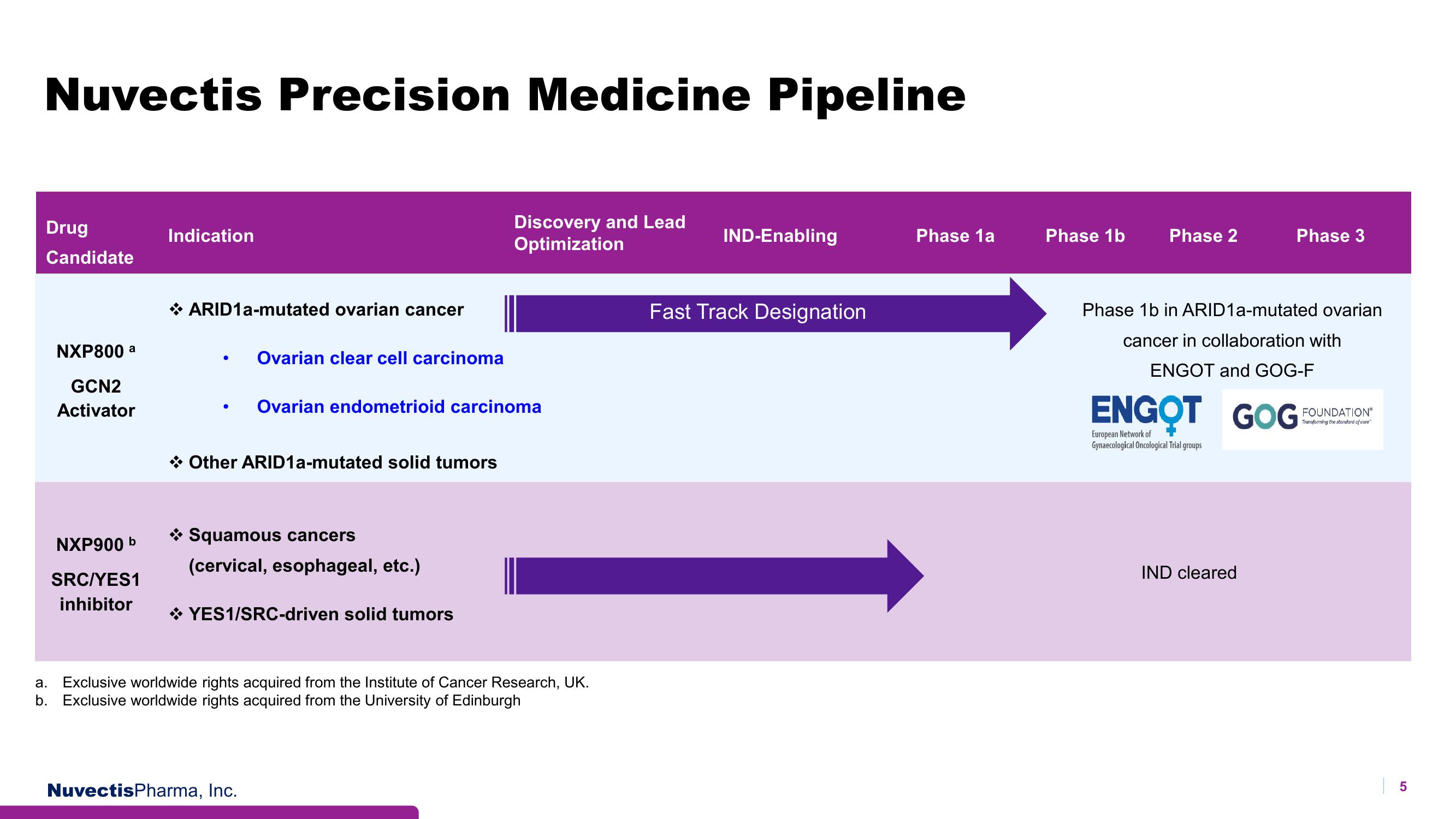 Nuvectis Pharma Investor Presentation Deck slide image #5