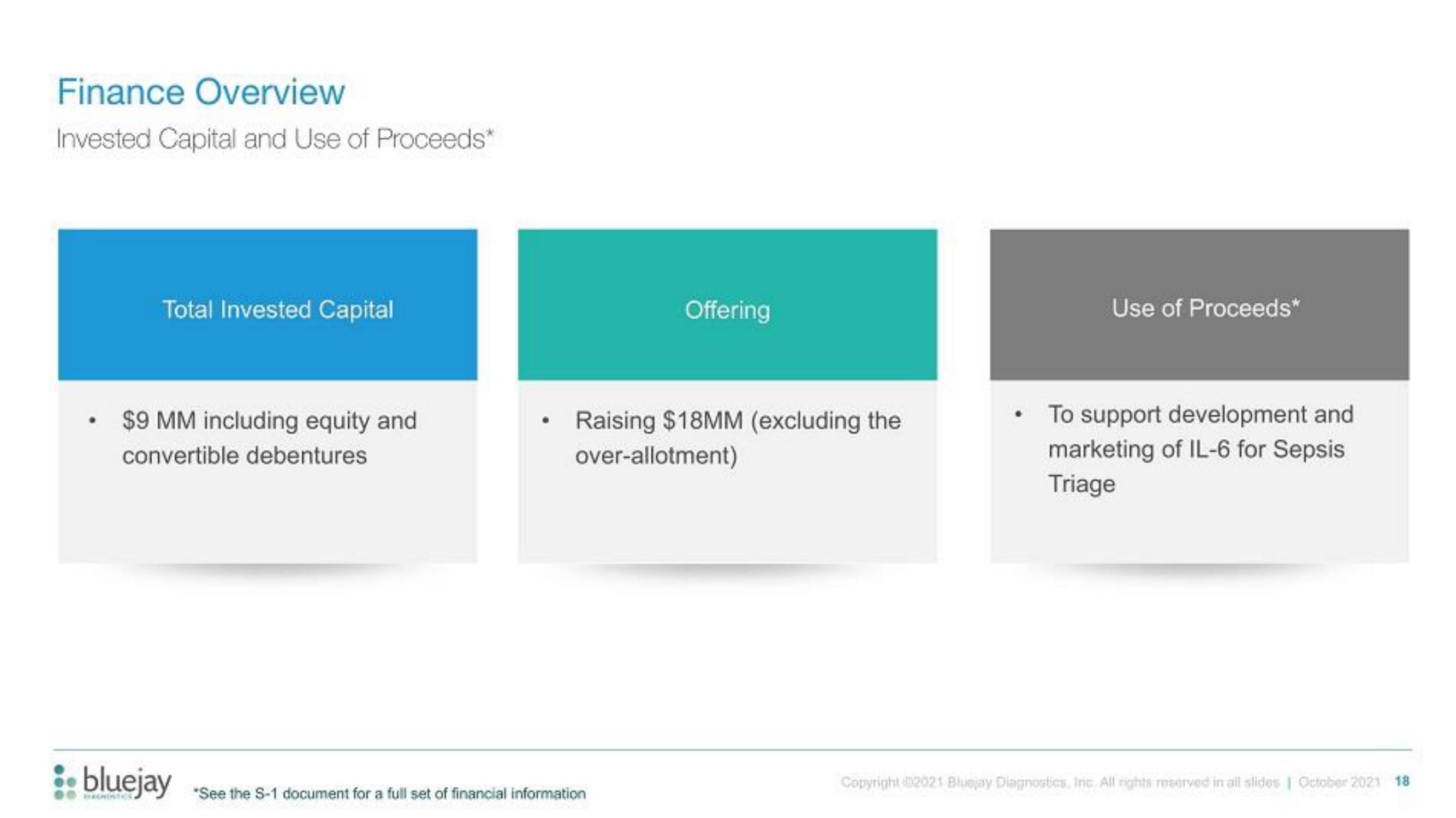 Bluejay IPO Presentation Deck slide image #18