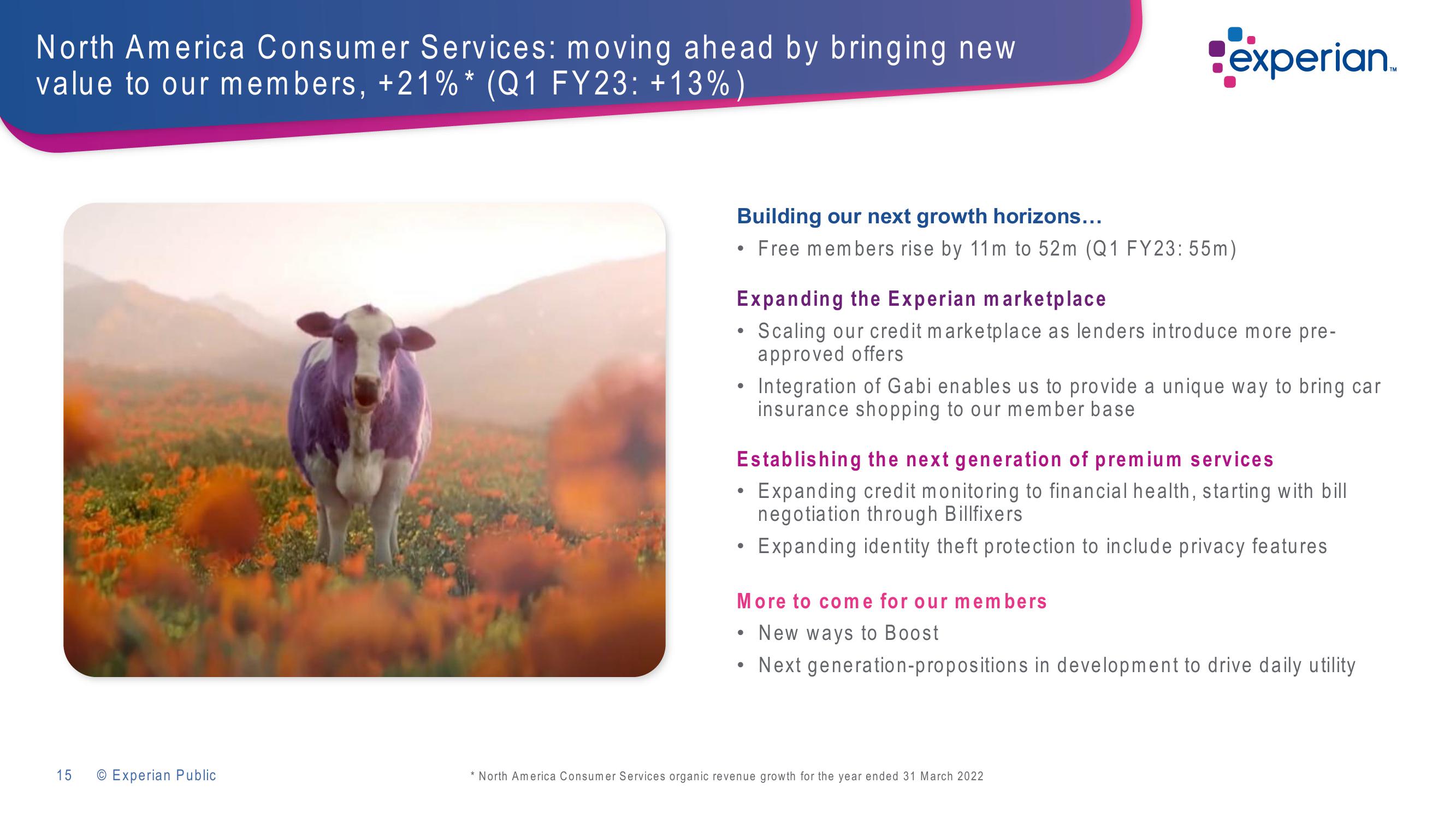 Experian Investor Presentation Deck slide image #15