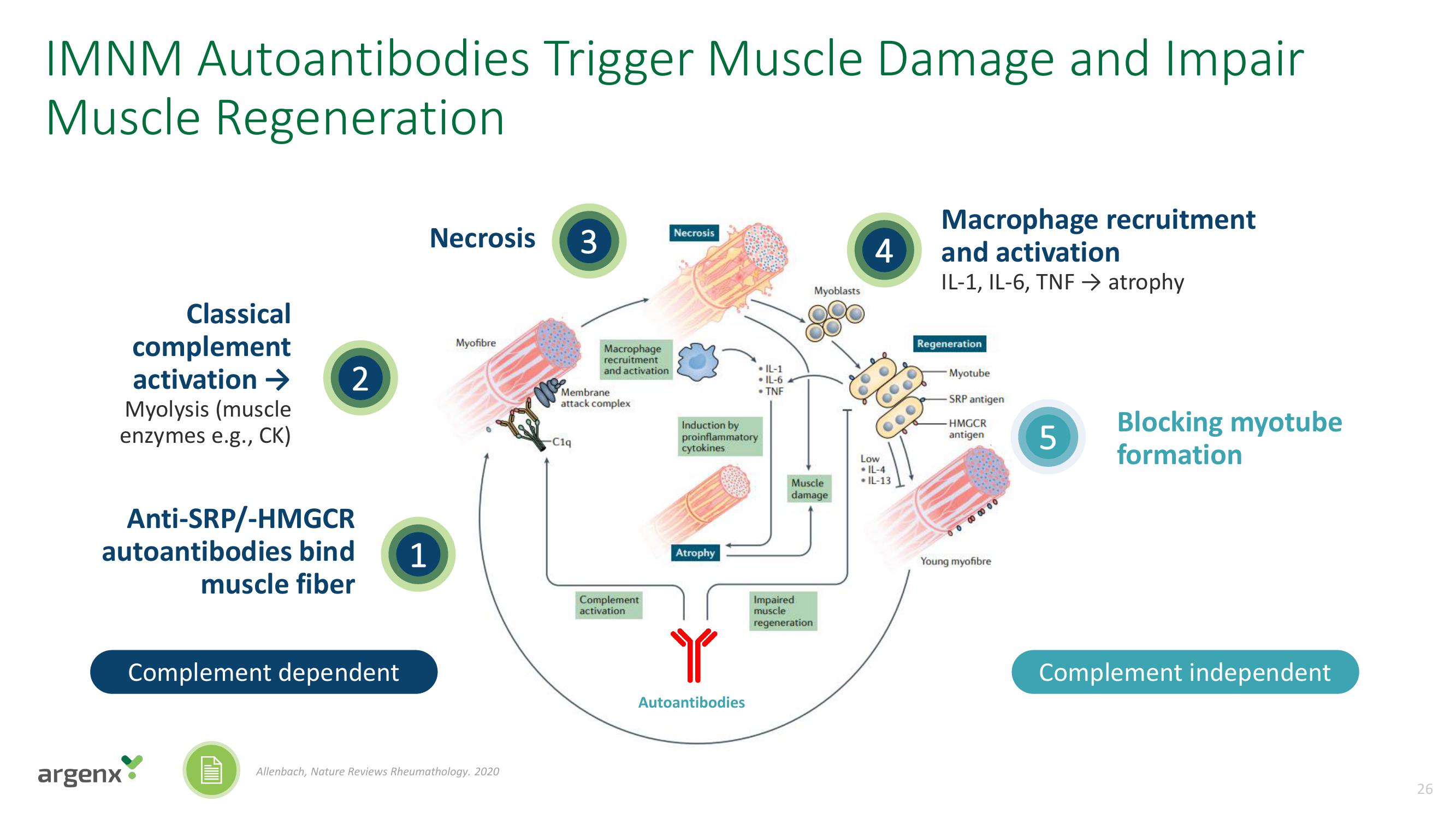 argenx SE Investor Day Presentation Deck slide image #26