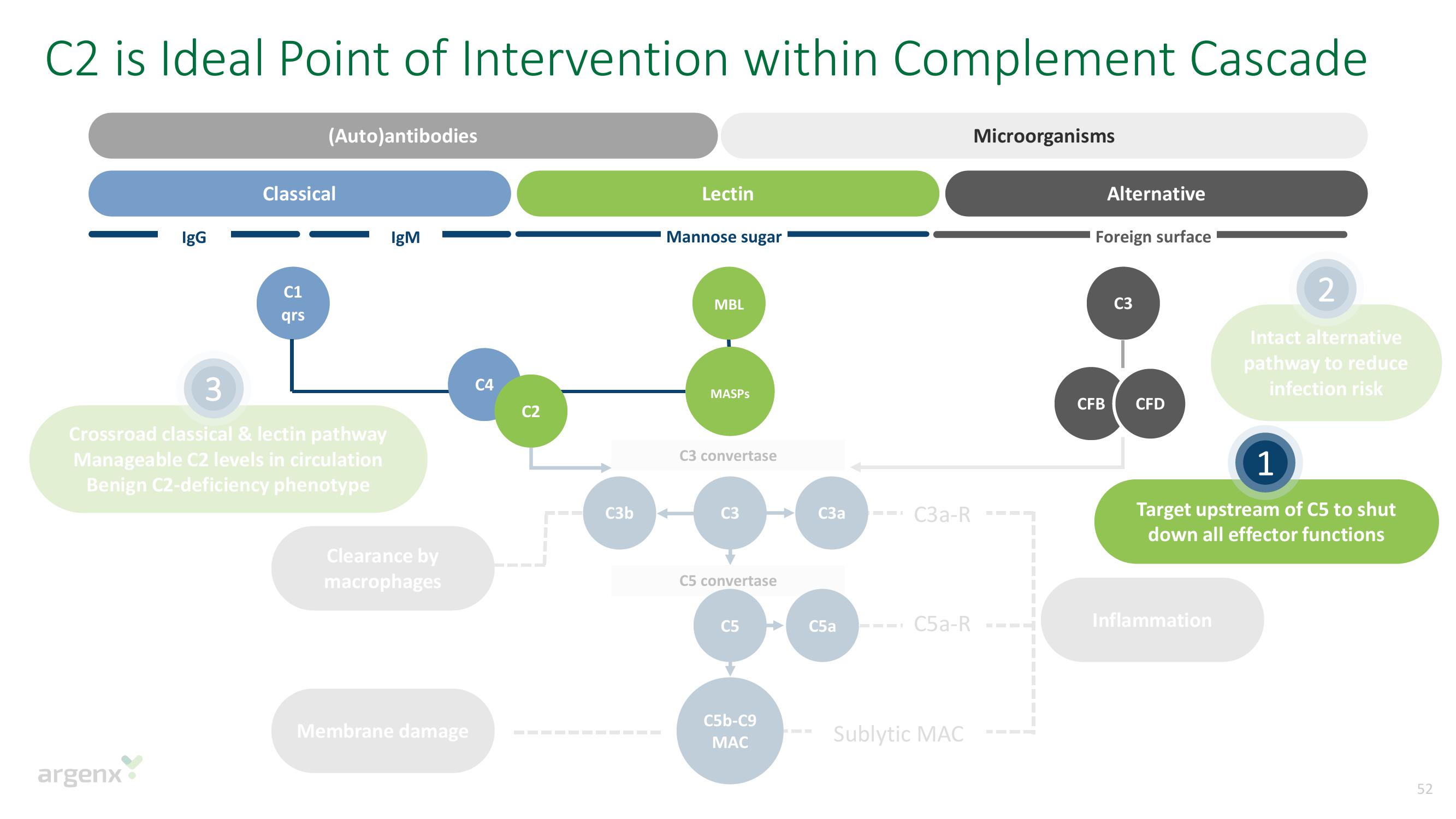 argenx SE Investor Day Presentation Deck slide image #52