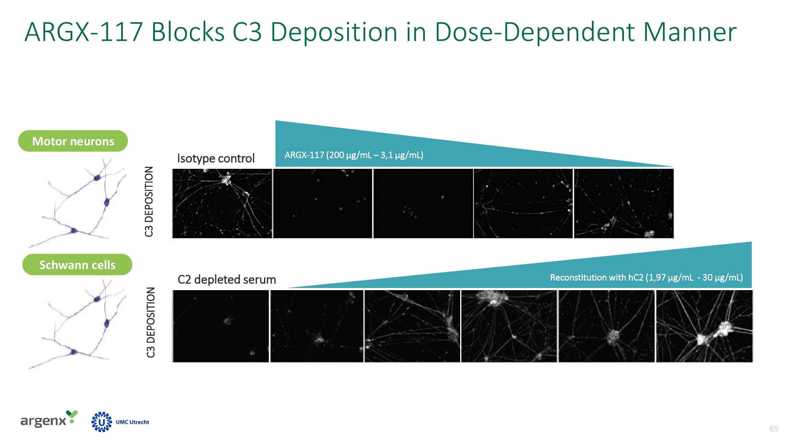 argenx SE Investor Day Presentation Deck slide image #65