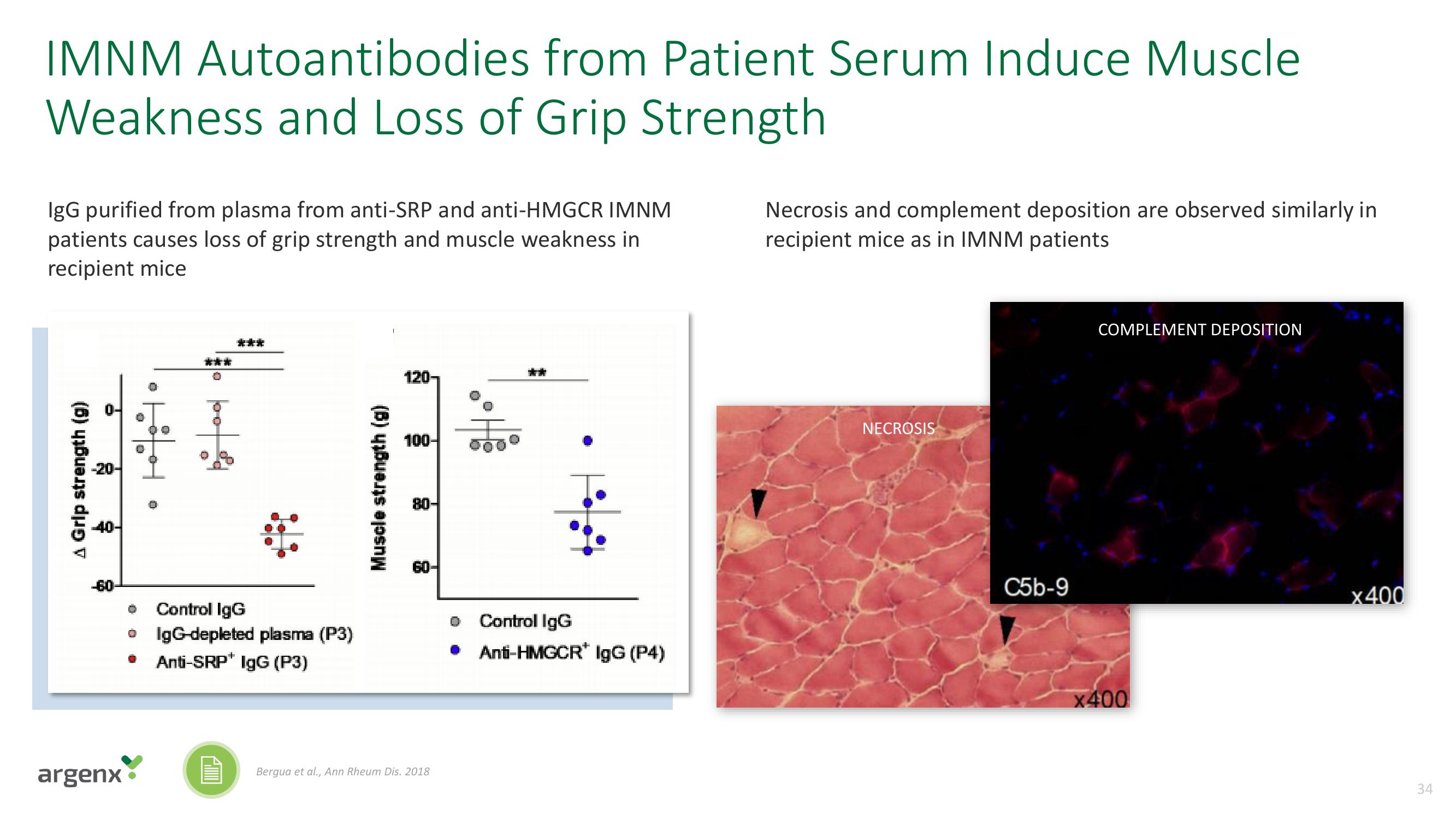 argenx SE Investor Day Presentation Deck slide image #34
