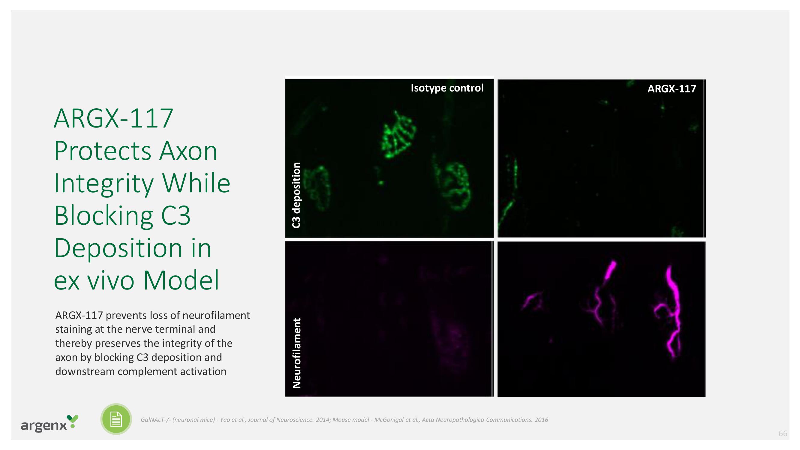 argenx SE Investor Day Presentation Deck slide image #66