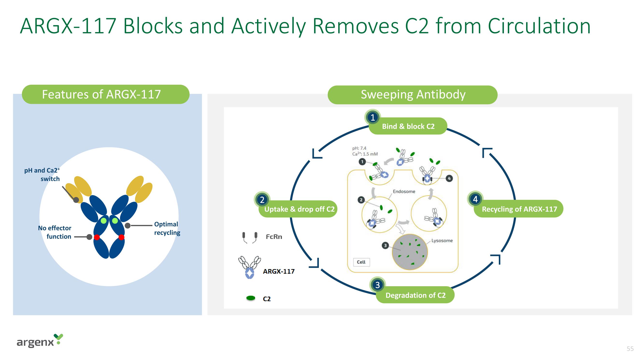 argenx SE Investor Day Presentation Deck slide image #55