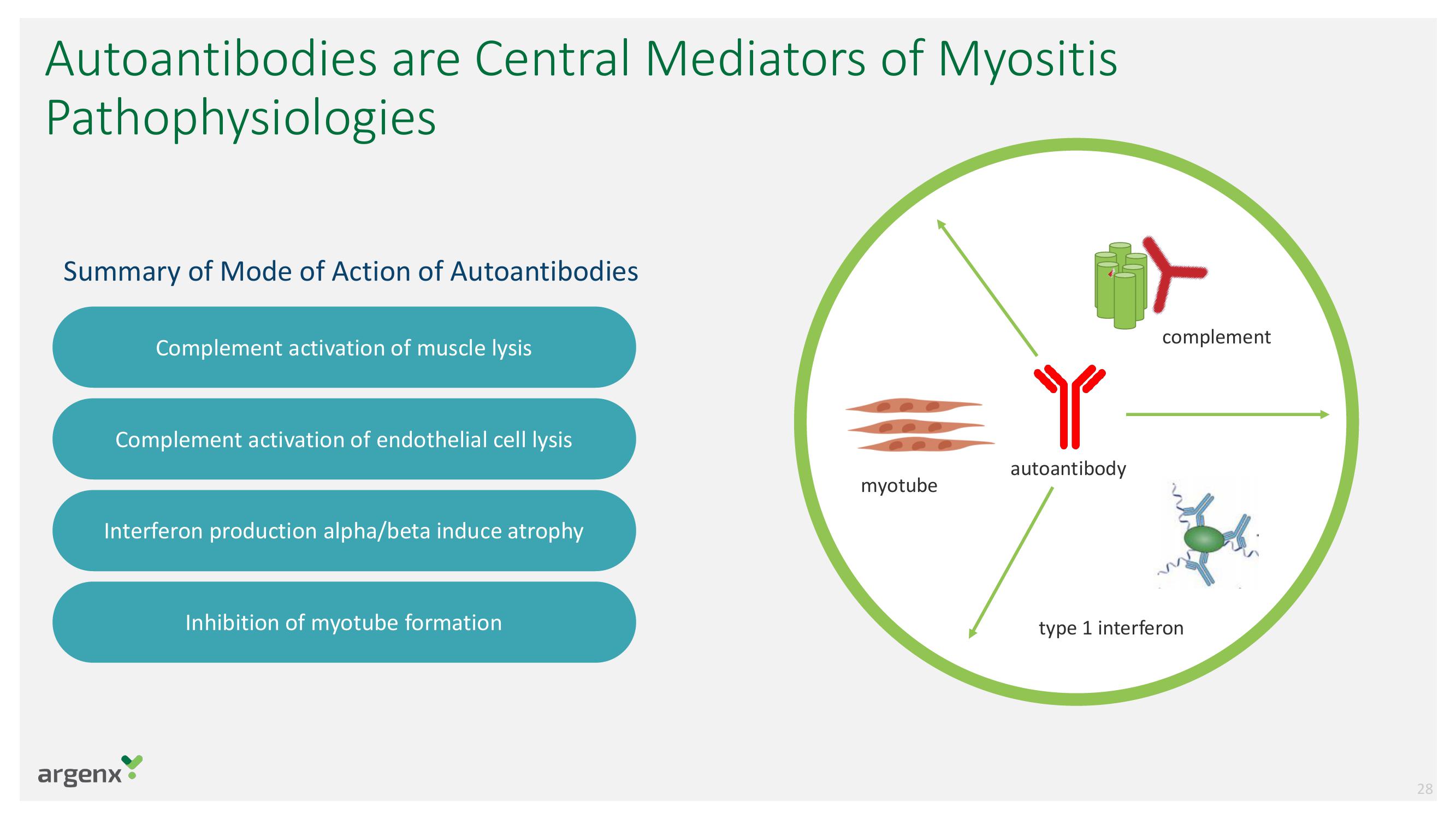 argenx SE Investor Day Presentation Deck slide image #28