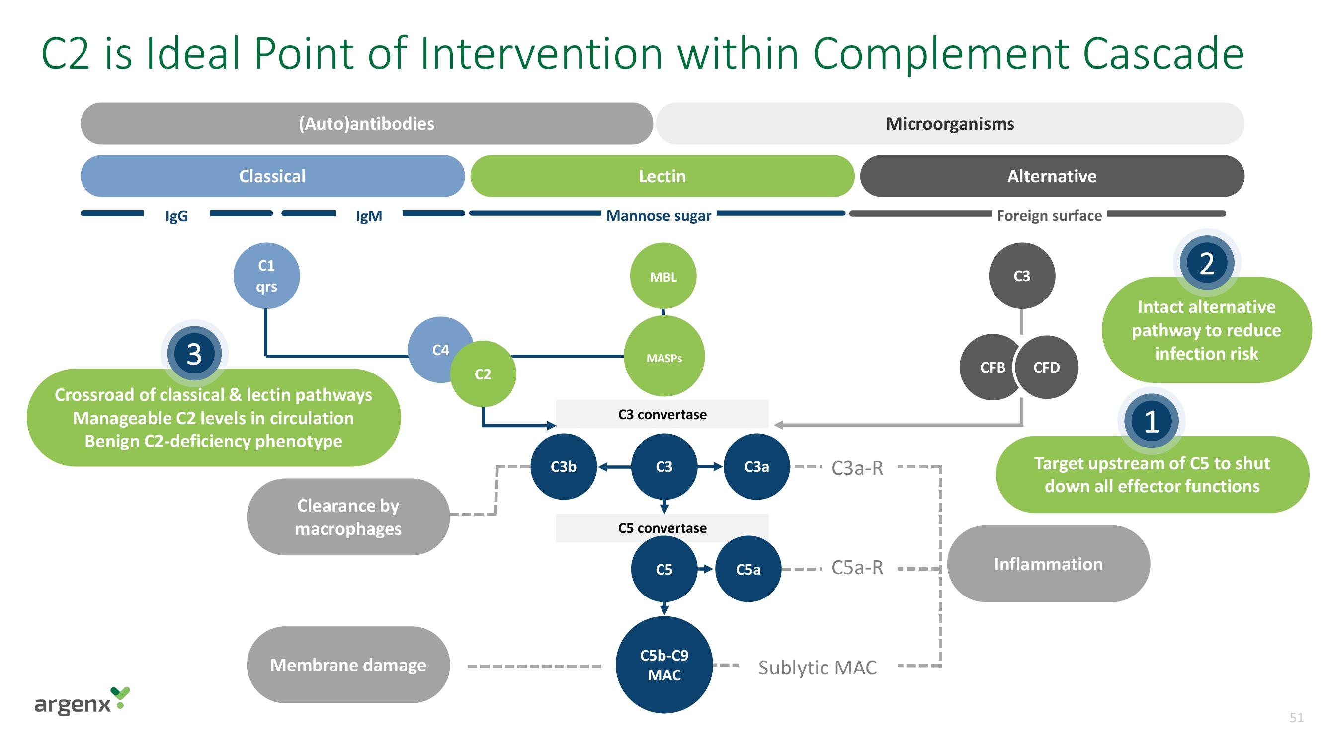 argenx SE Investor Day Presentation Deck slide image #51