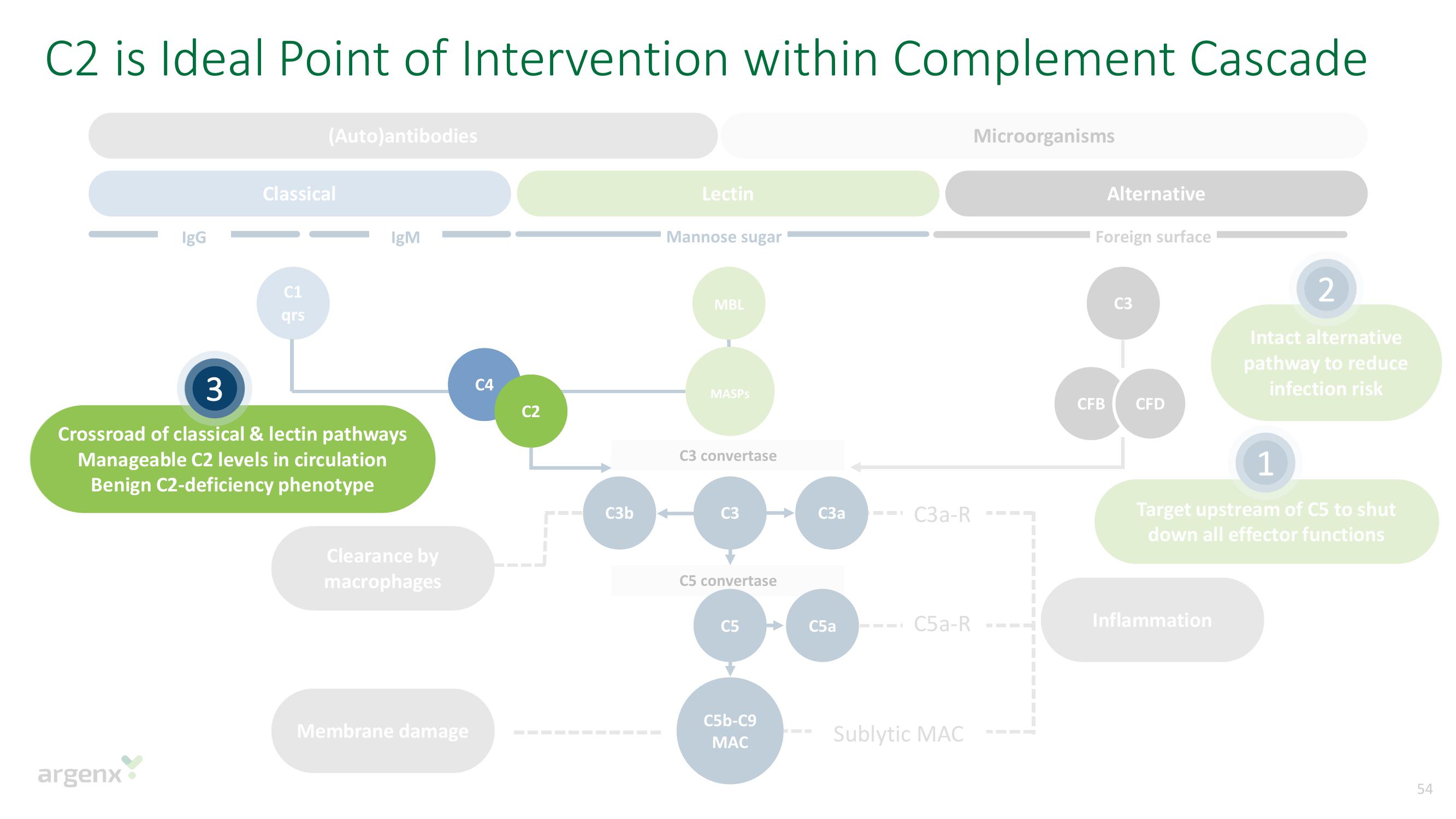 argenx SE Investor Day Presentation Deck slide image #54