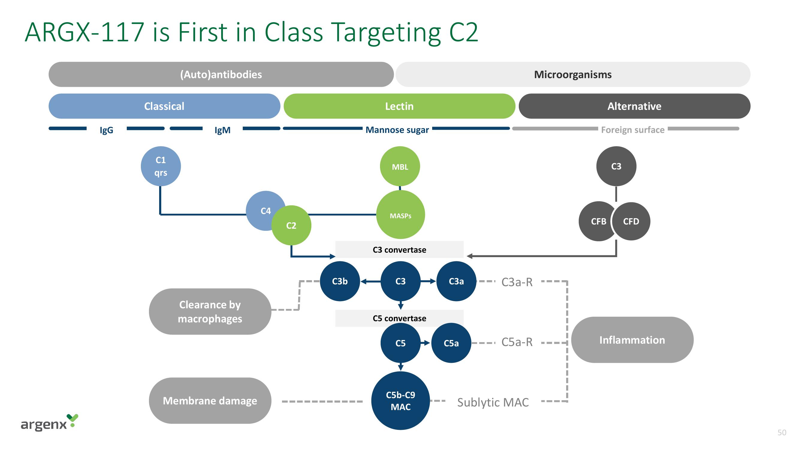 argenx SE Investor Day Presentation Deck slide image #50