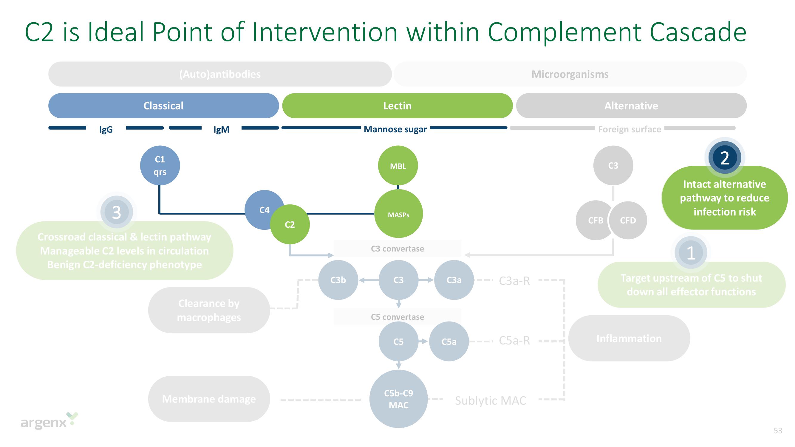argenx SE Investor Day Presentation Deck slide image #53