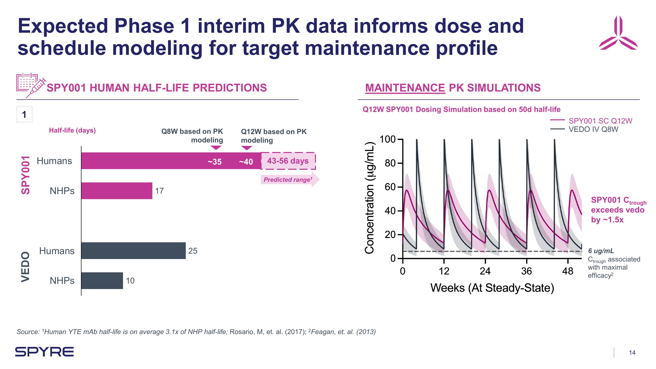 Aeglea BioTherapeutics Investor Presentation Deck slide image #14