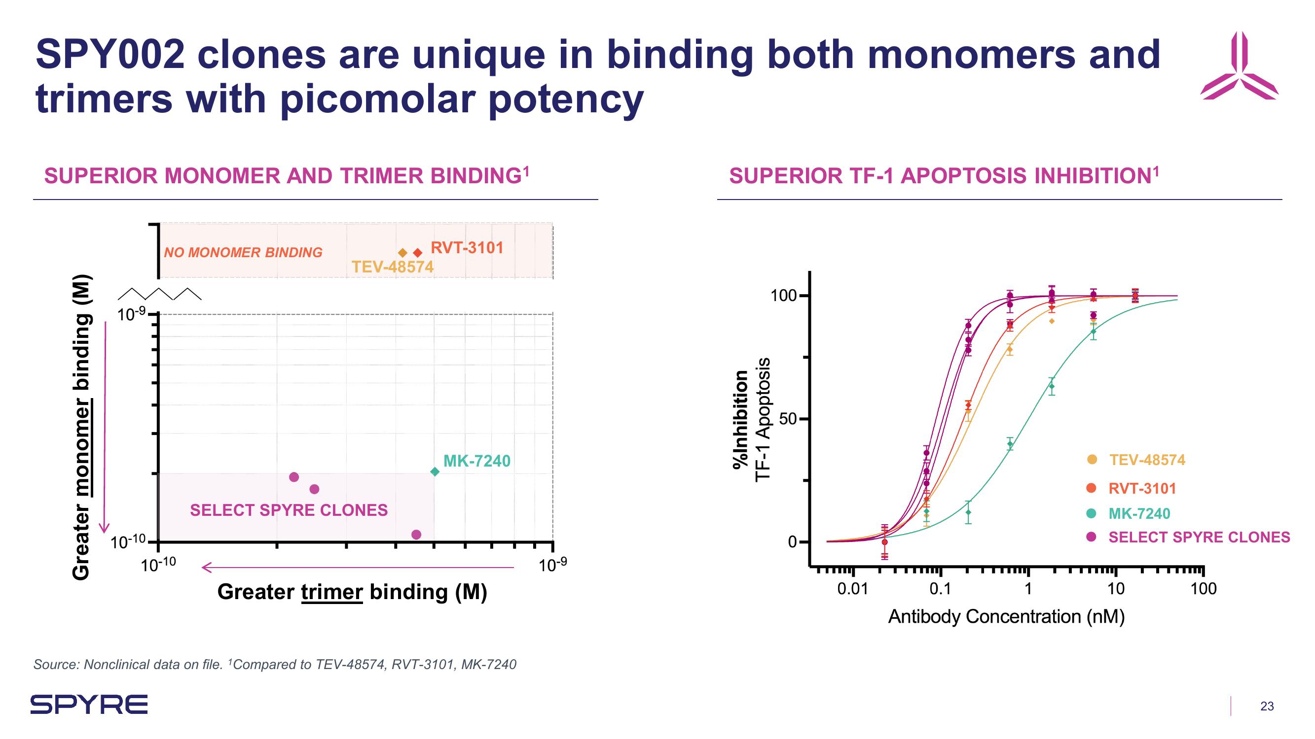 Aeglea BioTherapeutics Investor Presentation Deck slide image #23