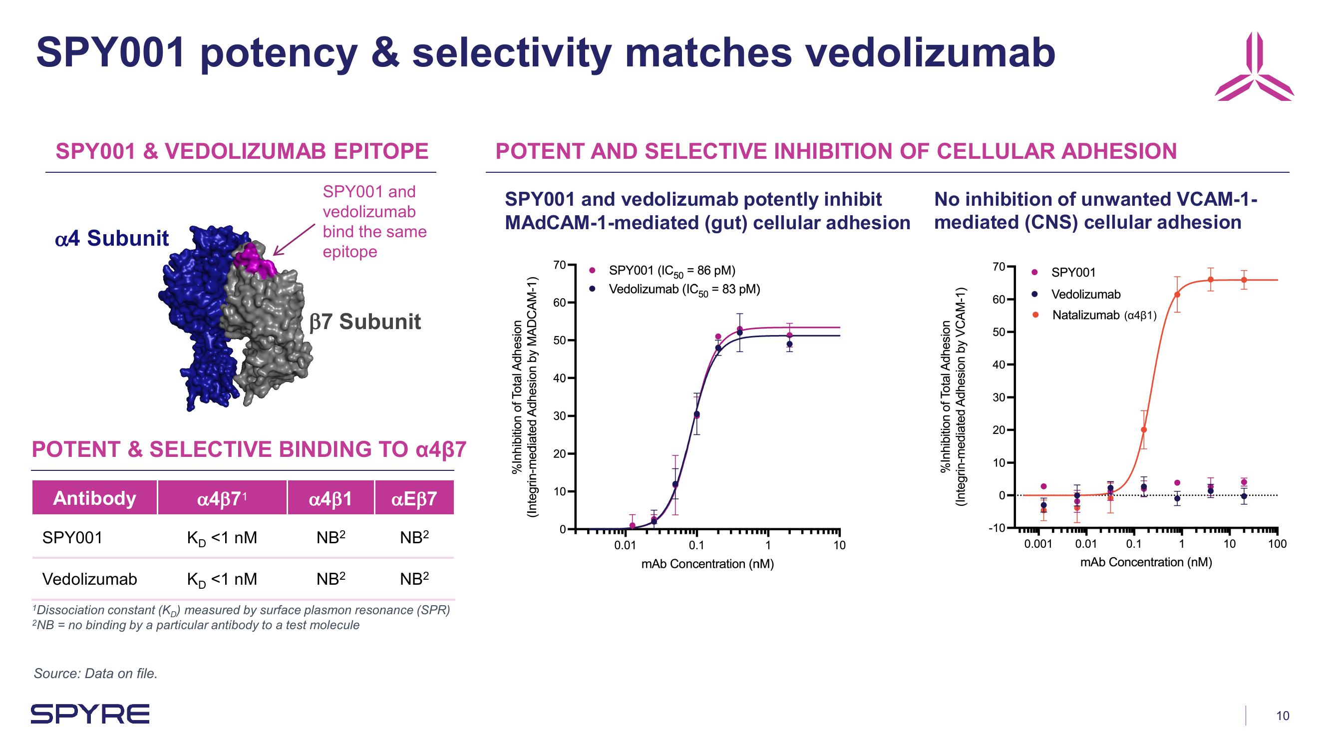 Aeglea BioTherapeutics Investor Presentation Deck slide image #10