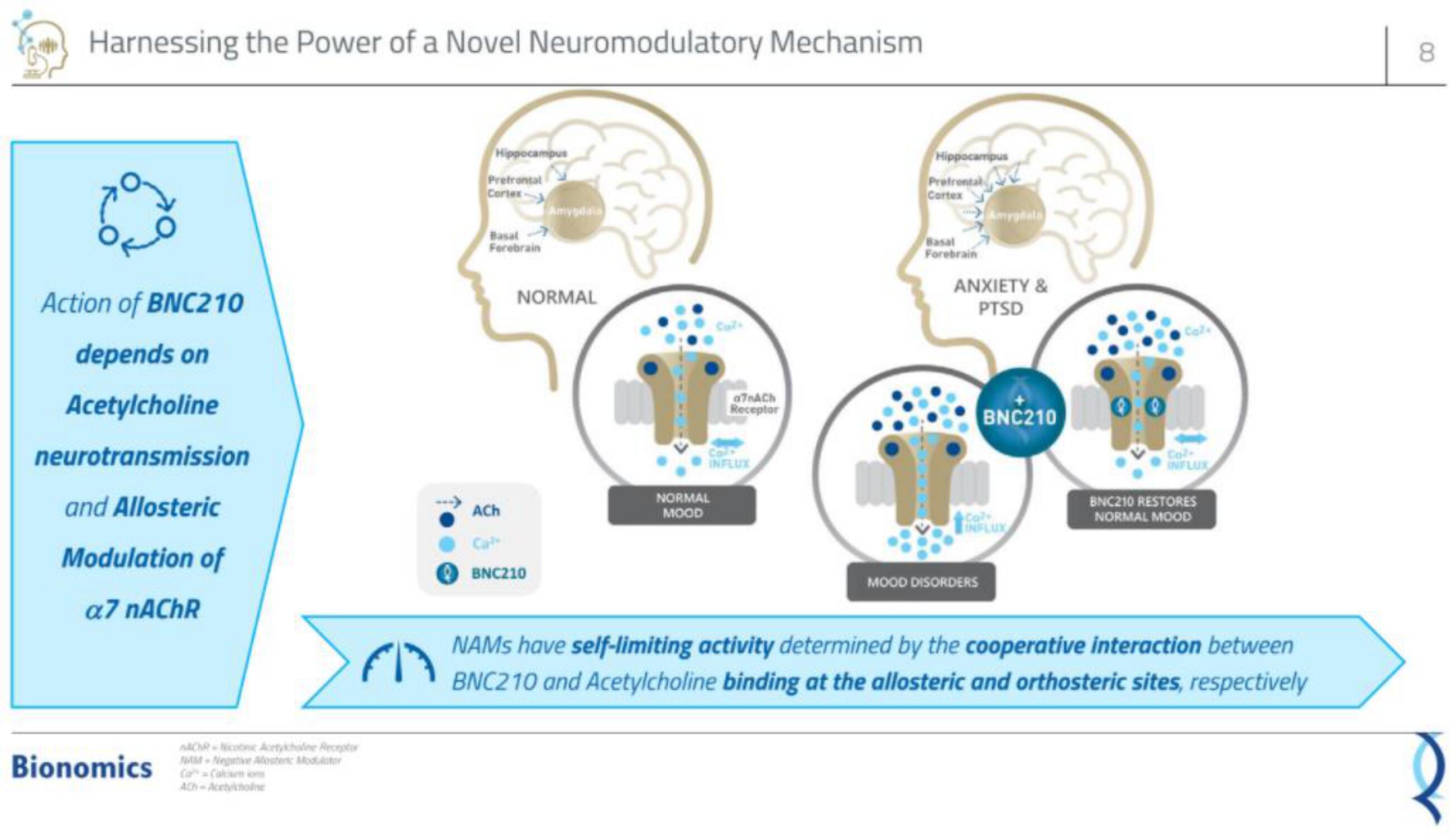 Bionomics IPO Presentation Deck slide image #8