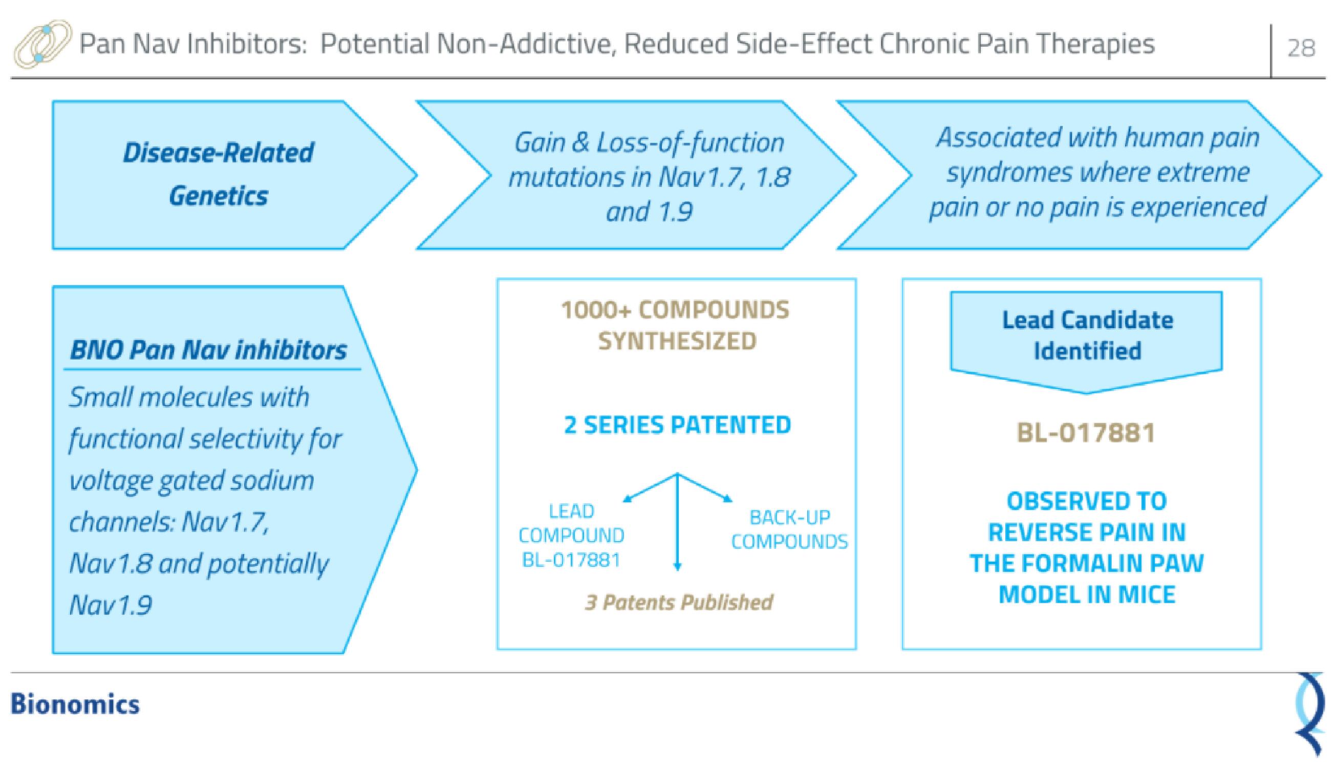 Bionomics IPO Presentation Deck slide image #28