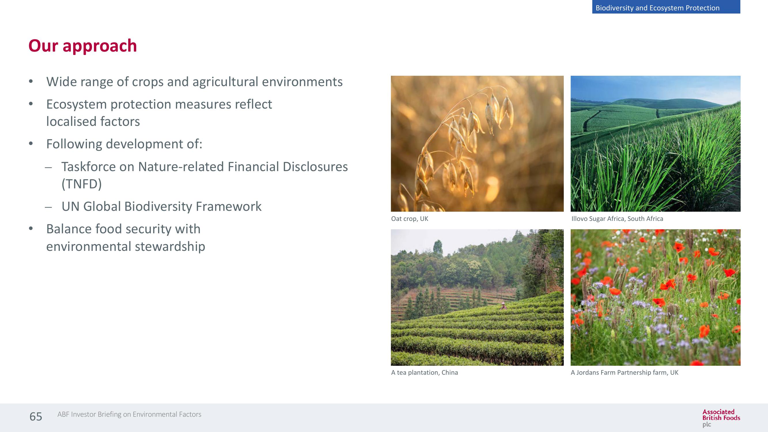 Associated British Foods ESG Presentation Deck slide image #65