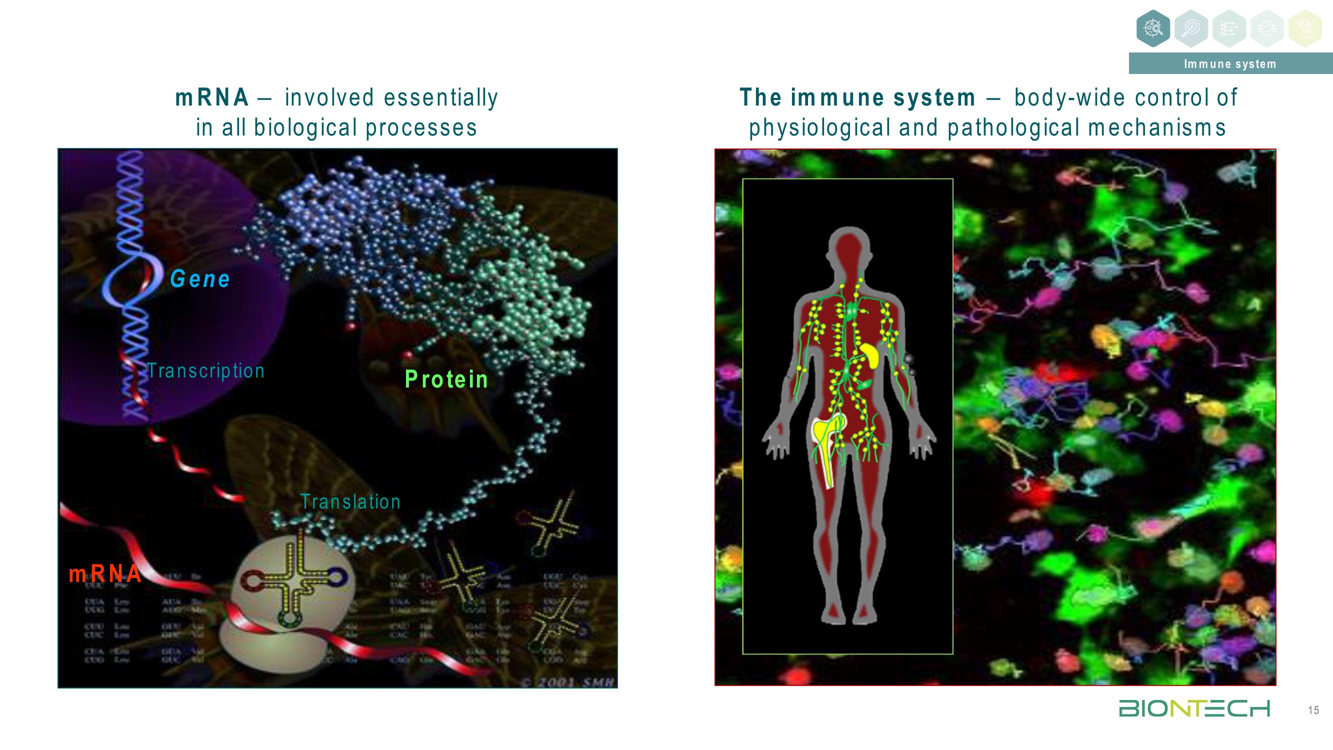 BioNTech Investor Day Presentation Deck slide image #15