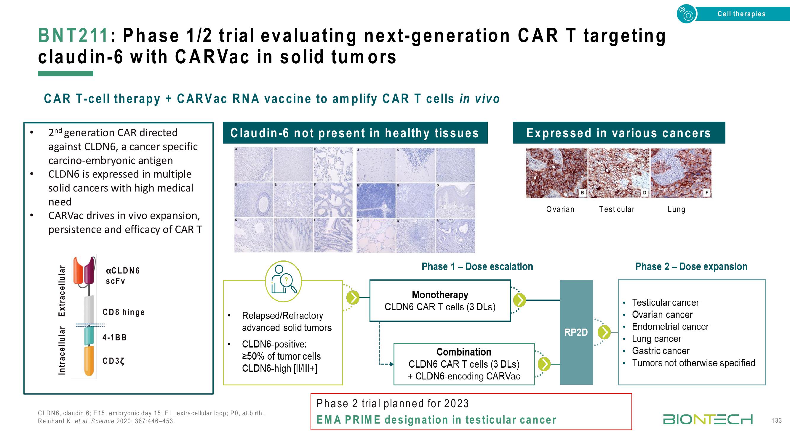 BioNTech Investor Day Presentation Deck slide image #133