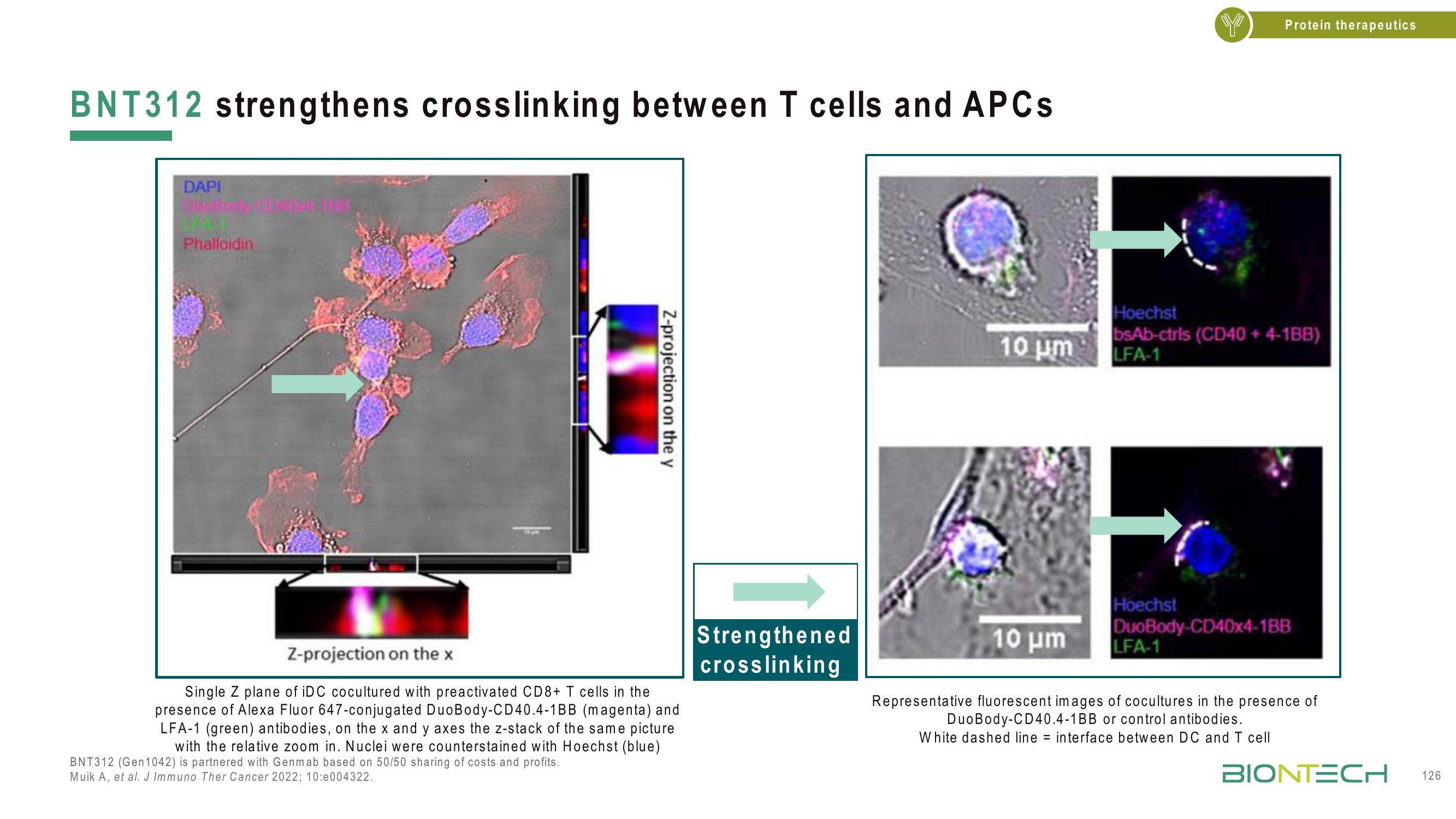 BioNTech Investor Day Presentation Deck slide image #126